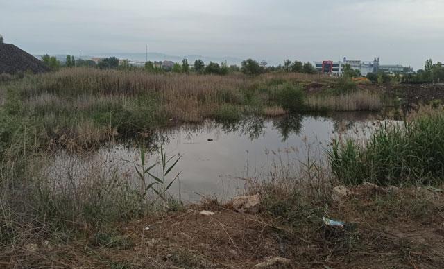 Ankara Da Otomobil Dereye D T L Yaral G Ndem Haberleri