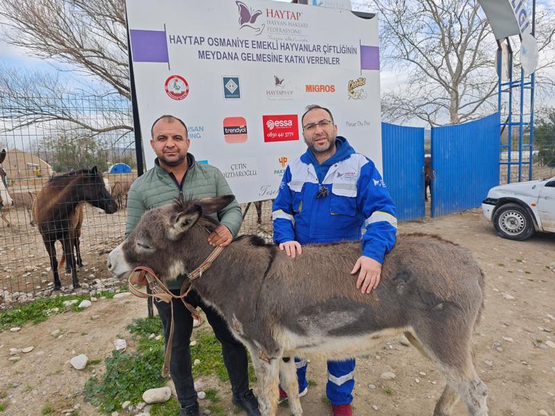 Ara Arkas Nda S R Klenen E Ek Tedavisi Sonras Emekli Hayvanlar