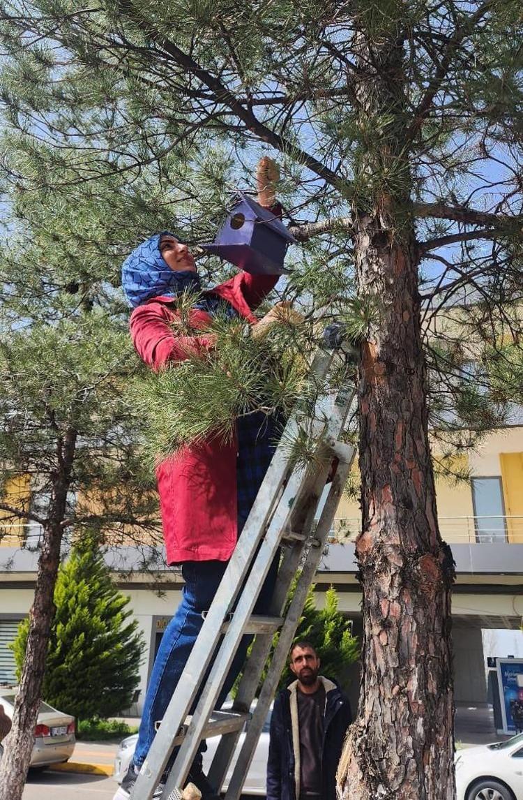 Atıklardan ürettiği kuş yemlikleri ve yuvasını 200 kuş türünün