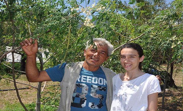 Datçada moringa ağacı yetiştiriyor