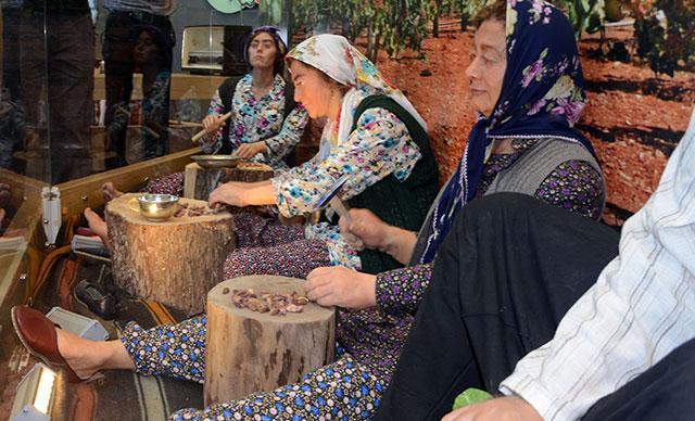 Gaziantepte Antep Fıstığı Müzesi açılacak