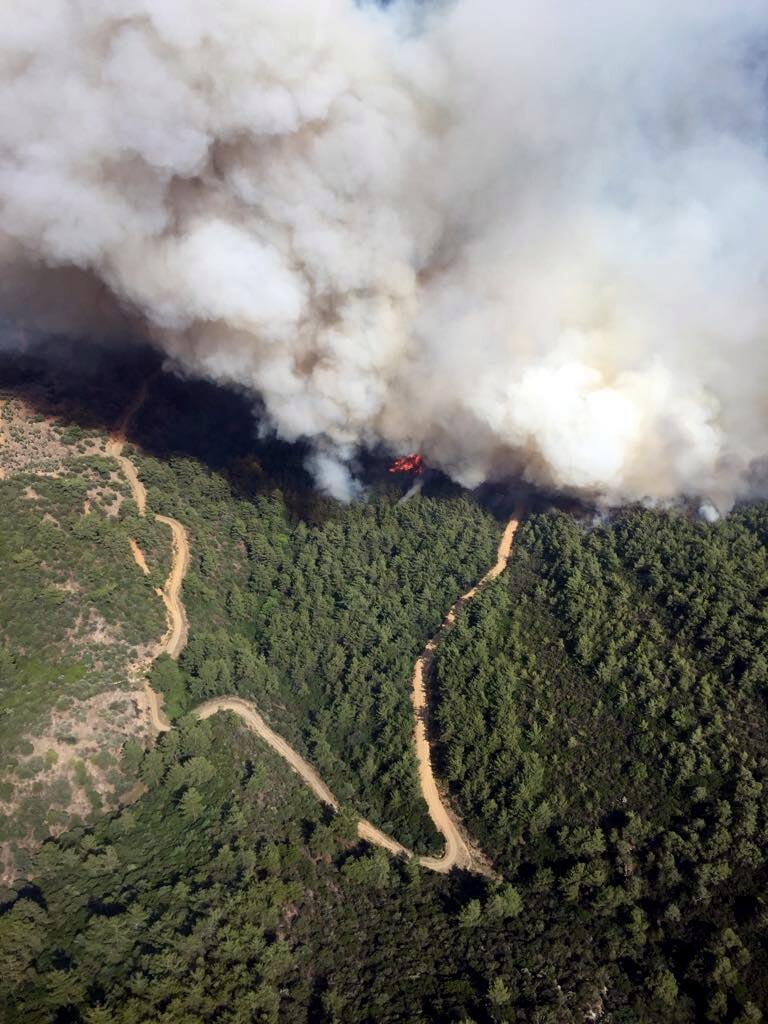 İzmirde orman yakınında yangın