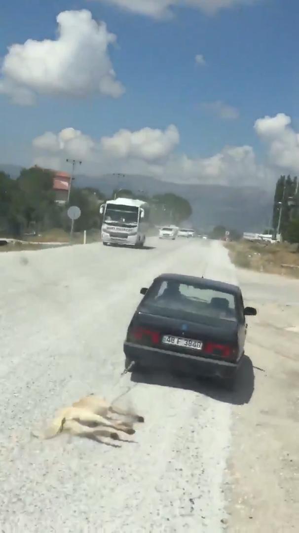 Sosyal medya ayağa kalktı, polis her yerde onu arıyor