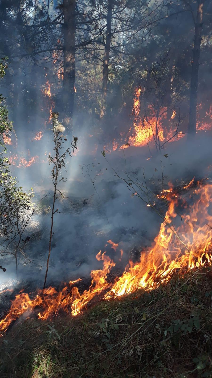 Hacı Bektaş-ı Veli Kent Ormanı’nda yangın