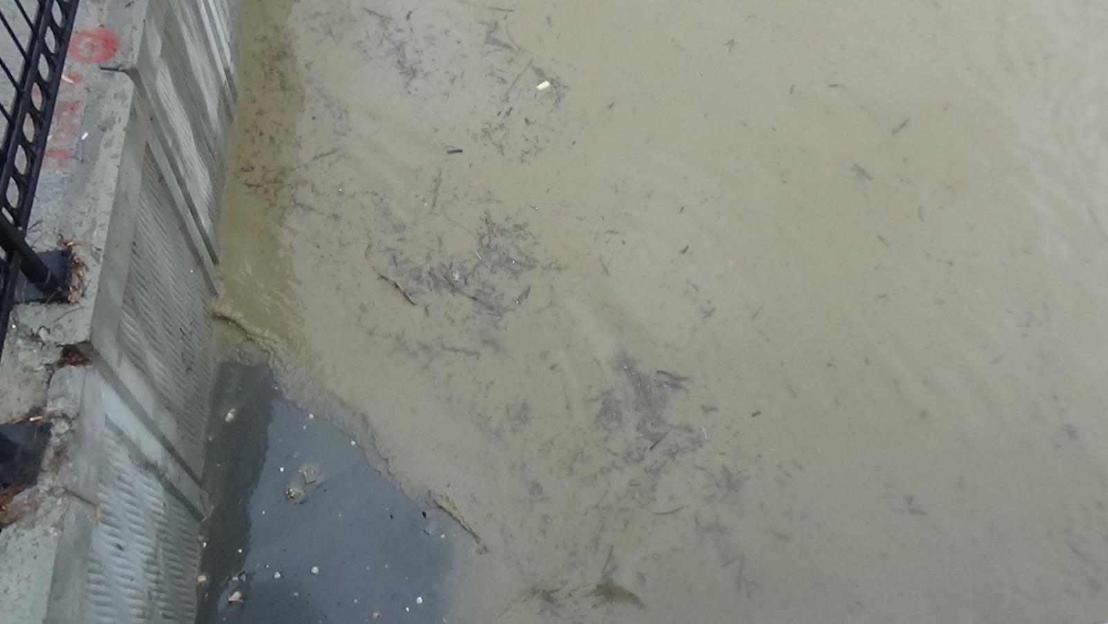 Silivride Marmara Denizi kahverengi oldu