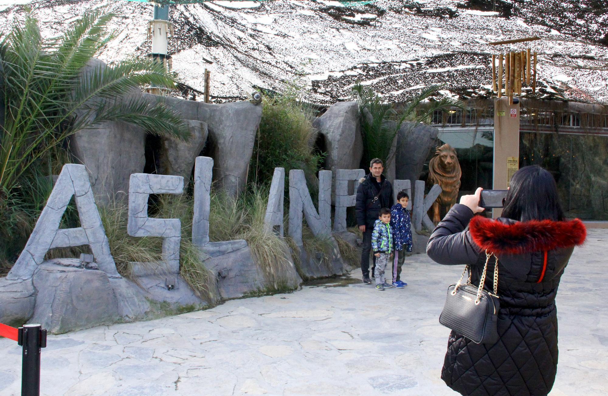 Dünyadaki 20 çilek kaplanından biri artık İstanbul’da yaşayacak