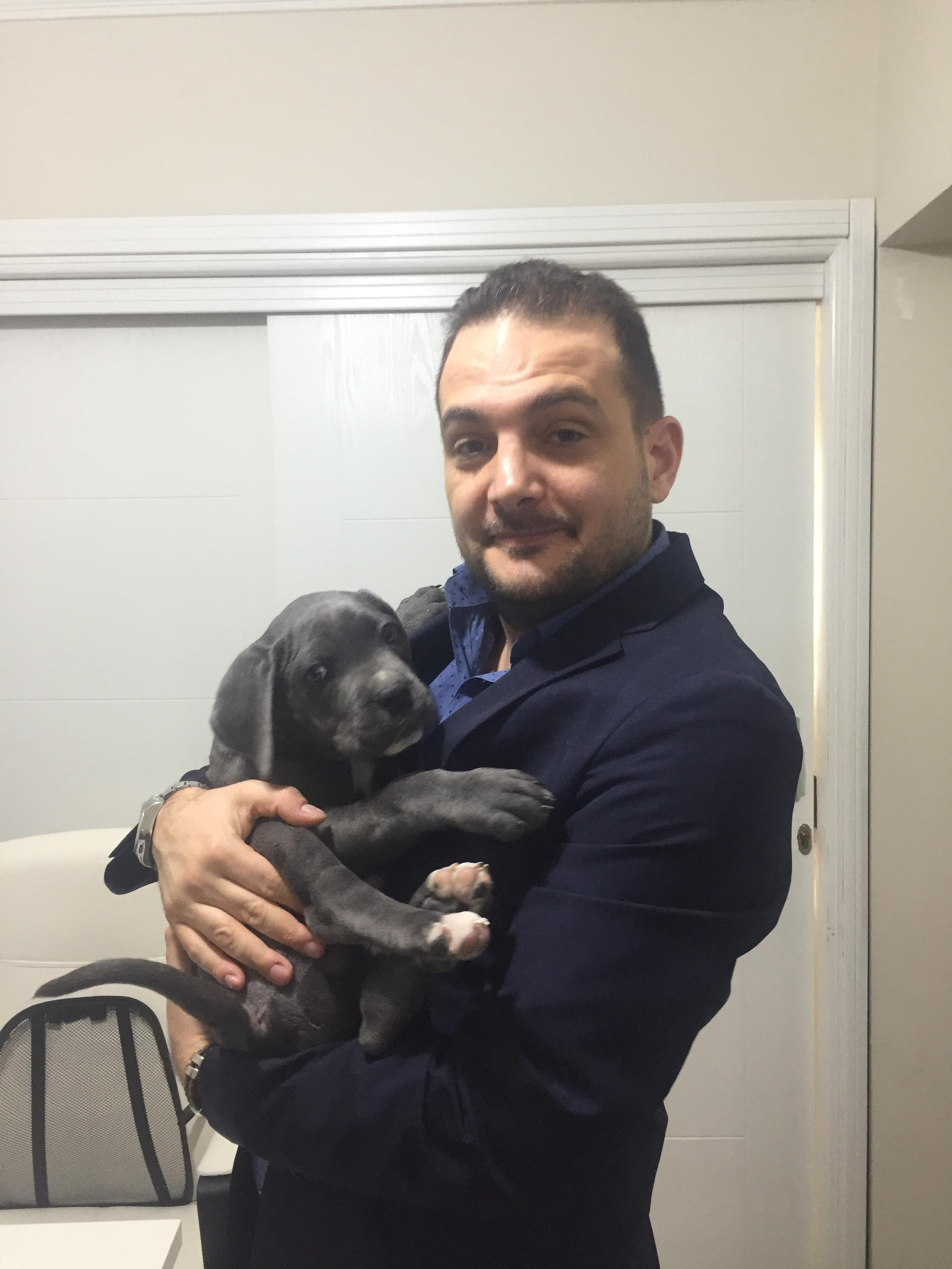 Yavru köpek duman haczedildi; avukatı itiraz etti