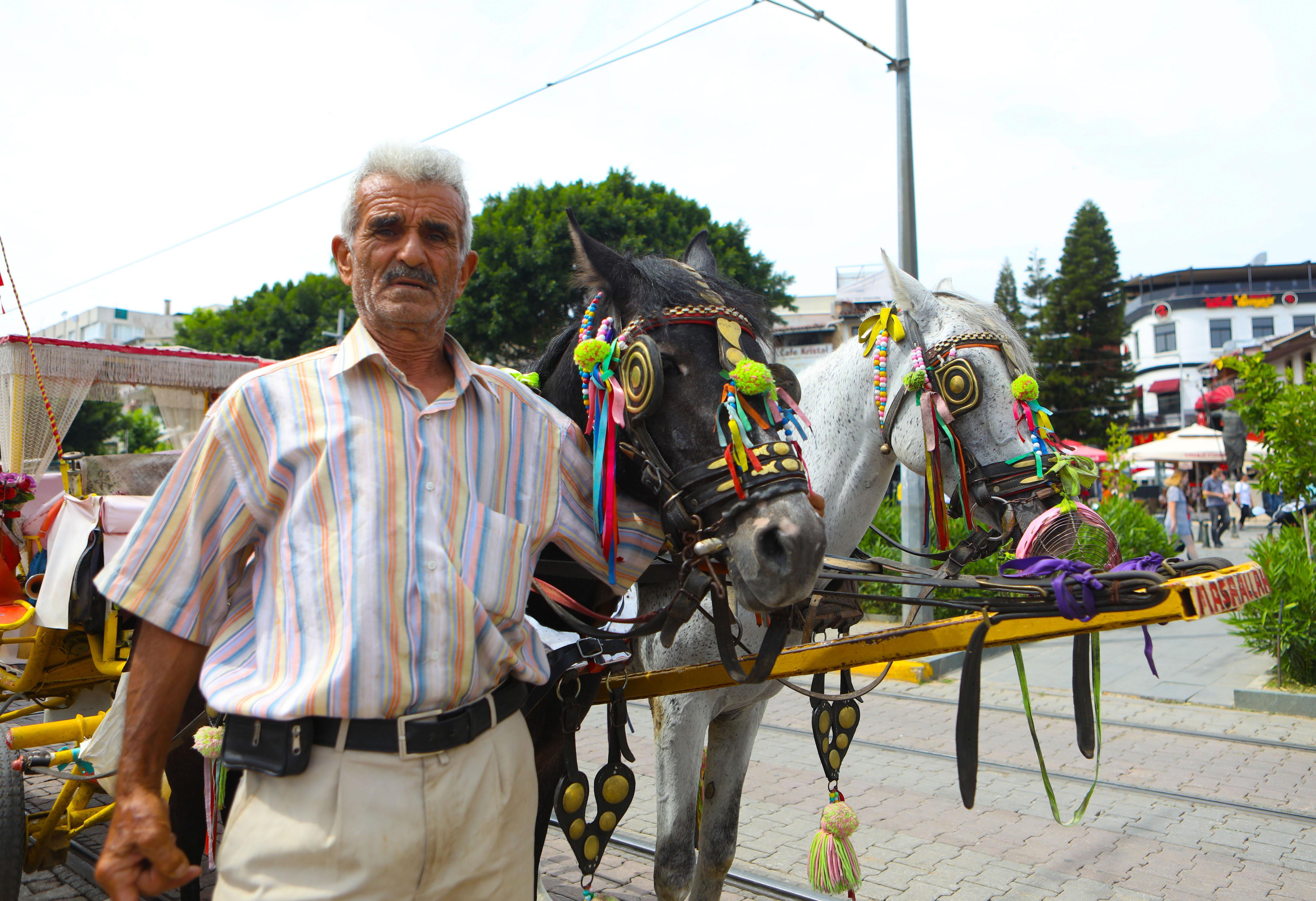 Antalyada faytonculuk 10 Haziranda sona eriyor