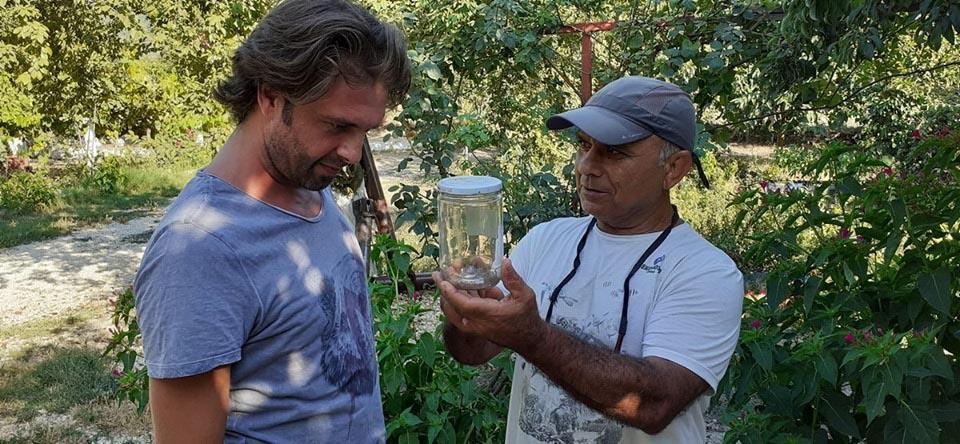 Akrep kavanozda 37 yavru dünyaya getirdi