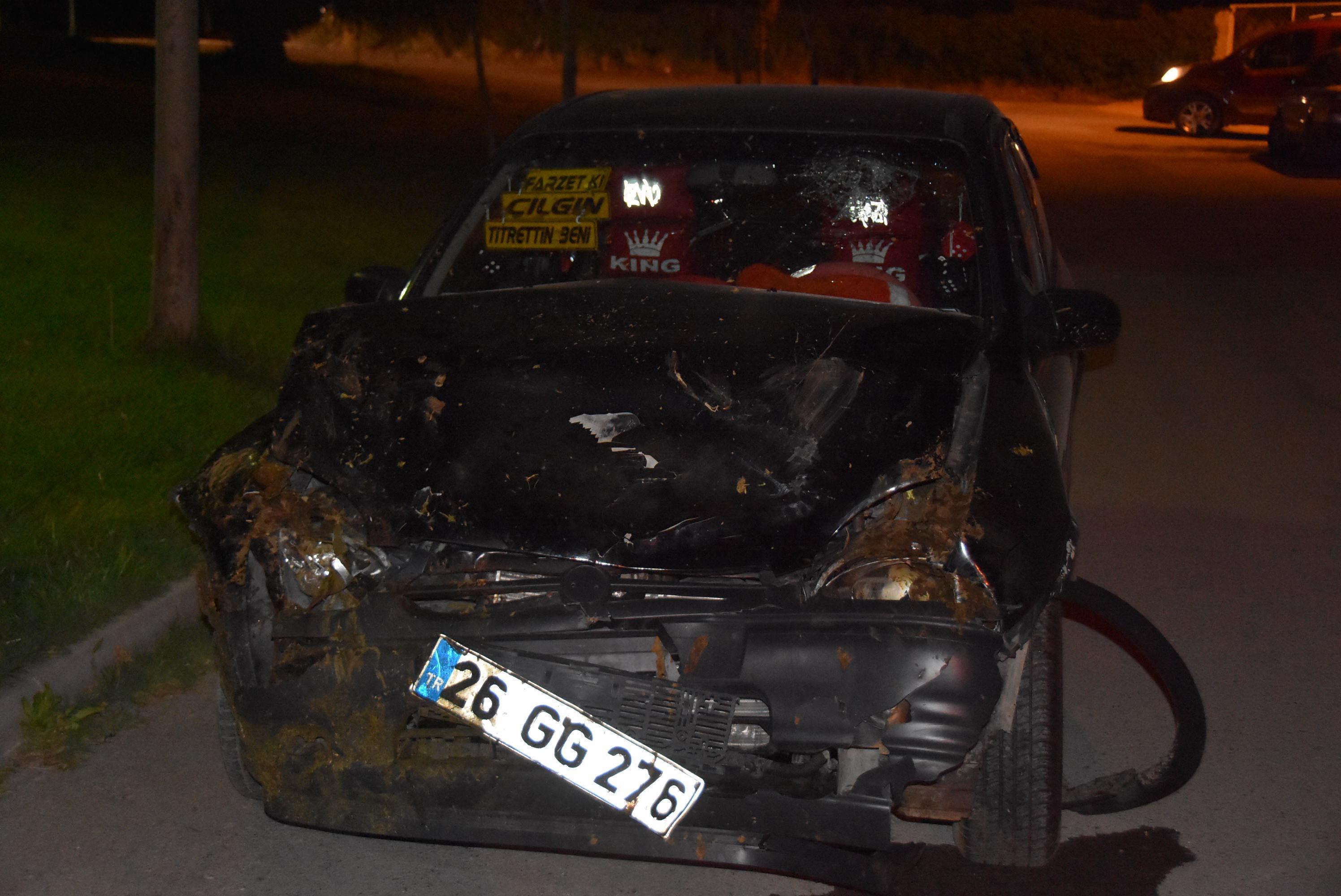 Otomobil koyun sürüsüne daldı: 2 yaralı, 10 koyun öldü