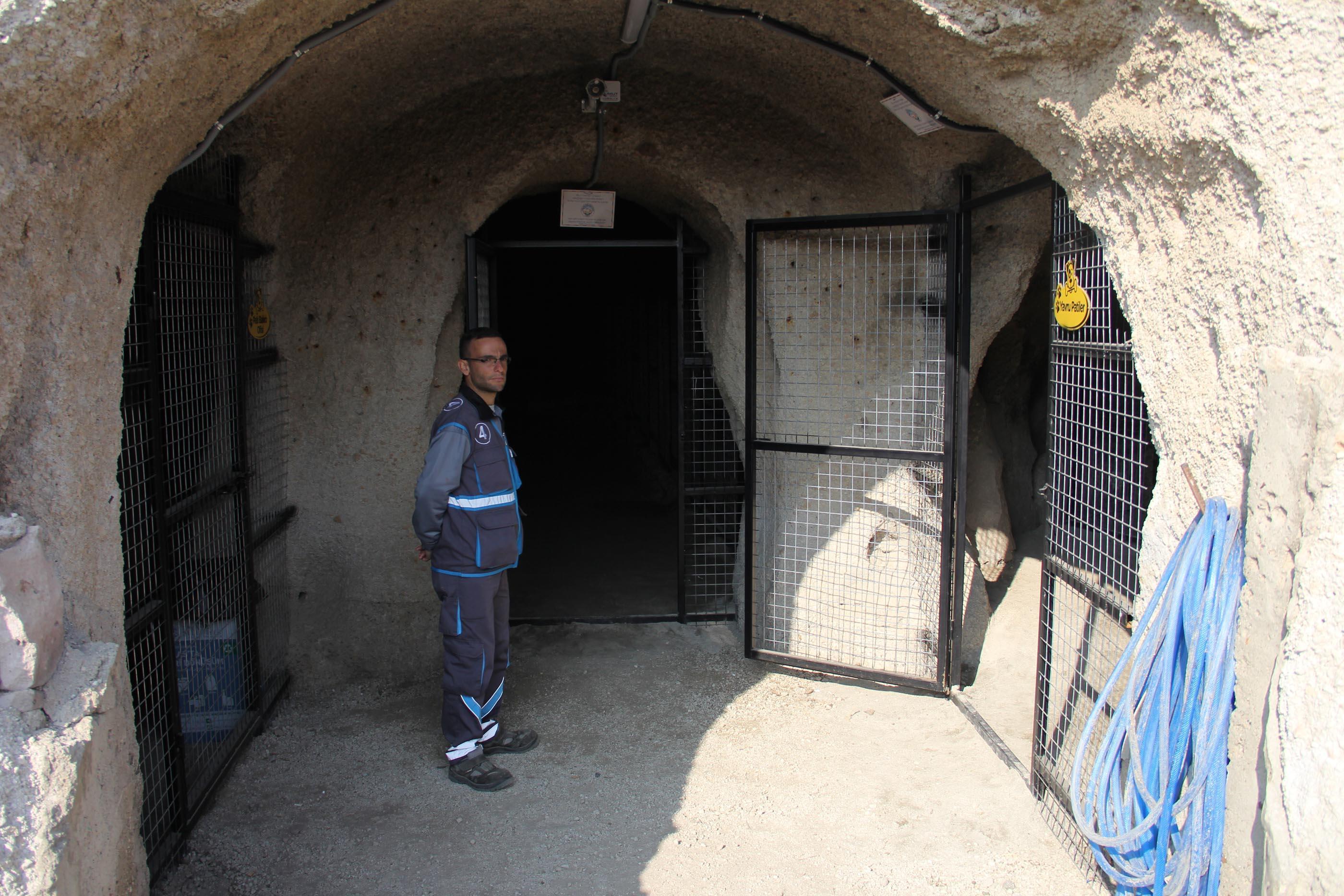 Kayadan oyma mağaralar, hayvan barınağına dönüştürüldü