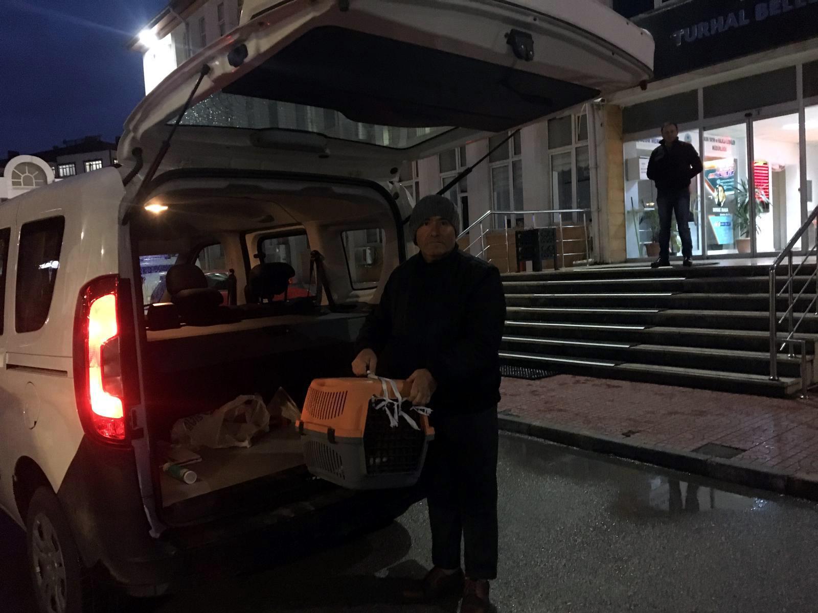 Fındık,  tedavi için Ankaraya gönderildi