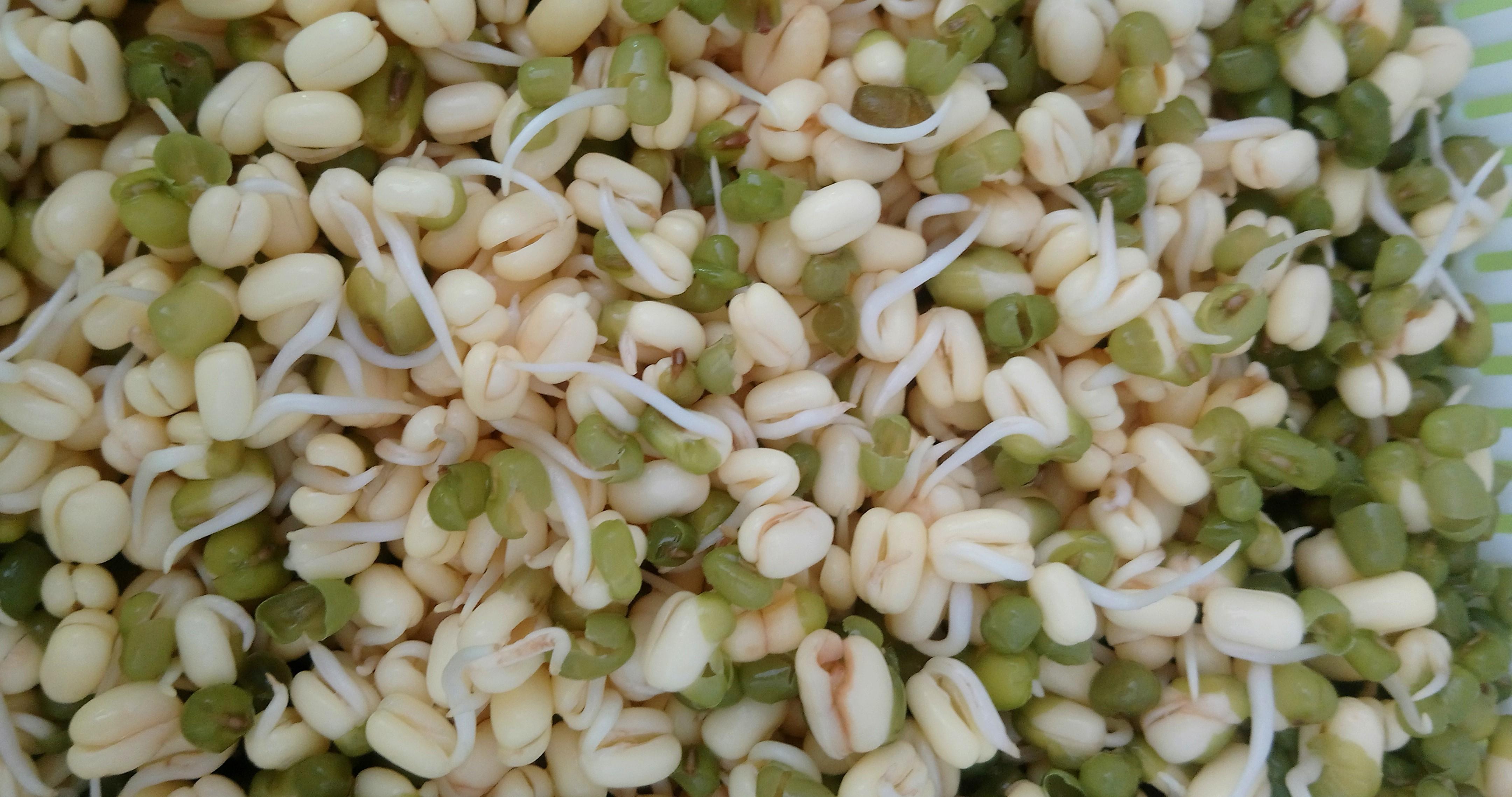 Prof. Dr. Bostan: Vitamin deposu, bağışıklık sistemini güçlendiriyor