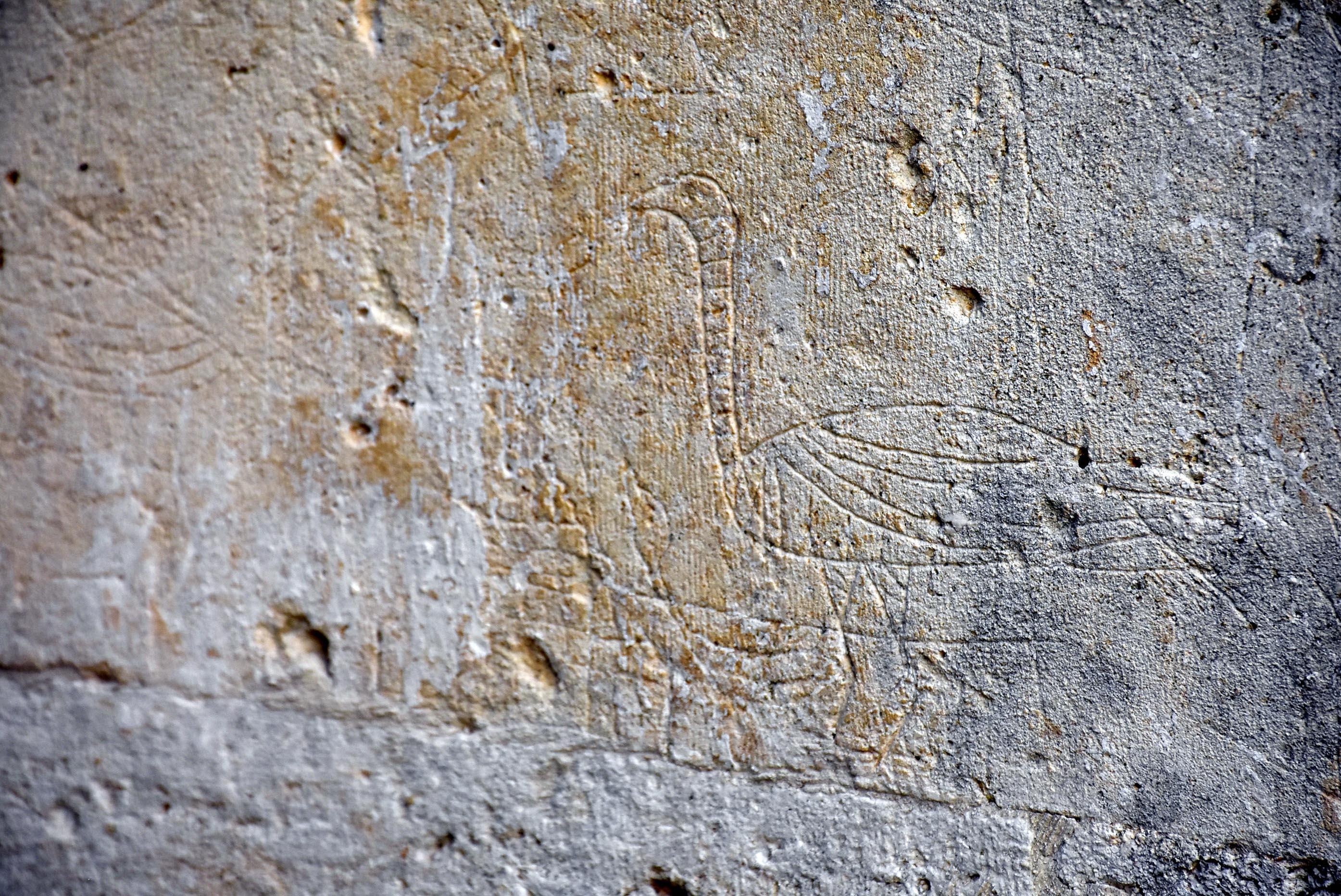 Tarihi külliyenin duvarına 500 yıl önce çizilen hayvan figürleri hayat buldu