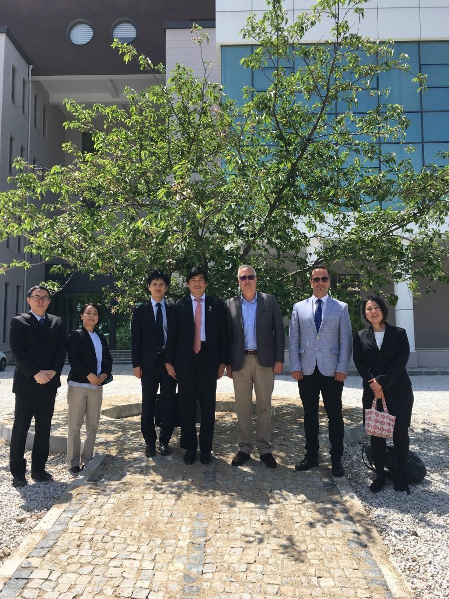 Japon prensin diktiği sakura 27 yıldır iki ülkenin dostluğunu simgeliyor