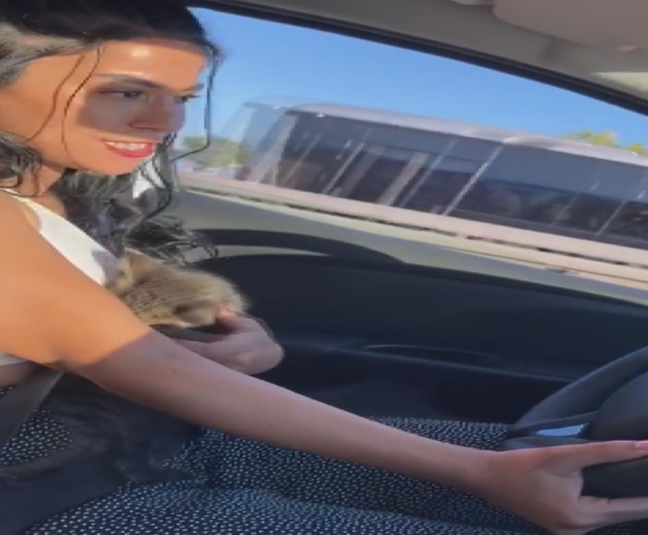 D100de trafiği durdurarak yavru kediyi kurtaran hayvansever DHAya konuştu