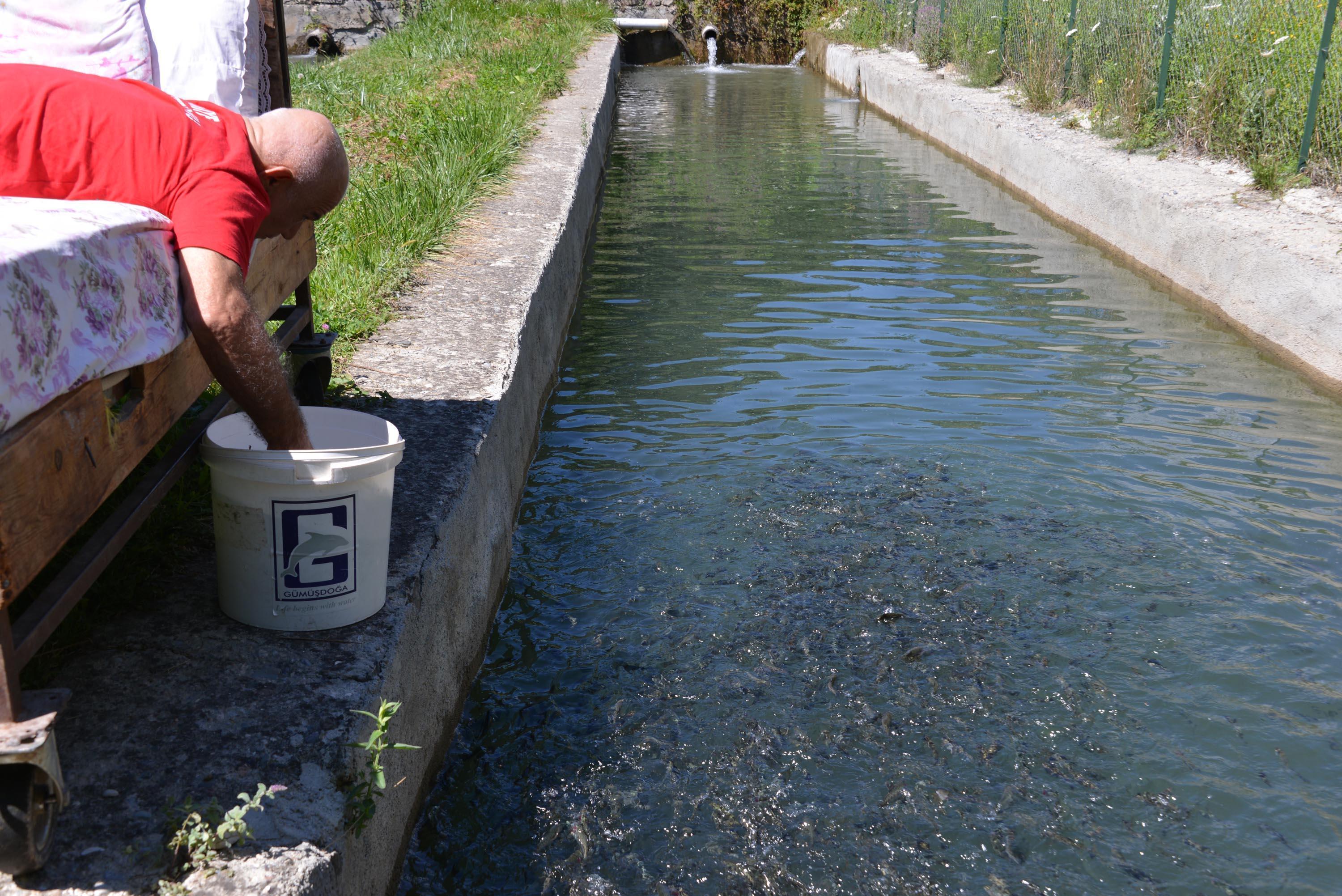 Trafik kazasında felç olan pehlivan, hayata tuş olmadı