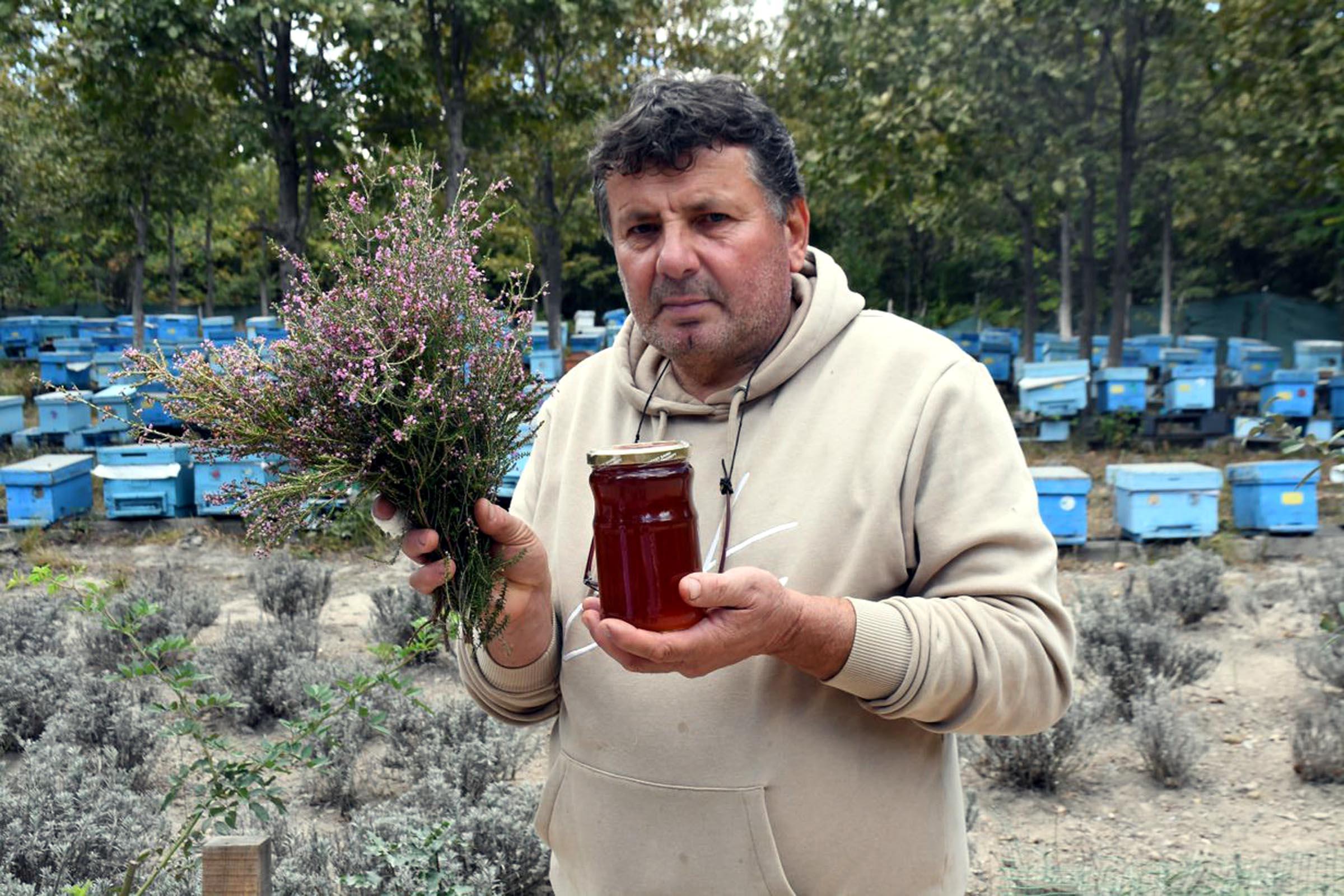 Püren balına pandemi döneminde yoğun talep