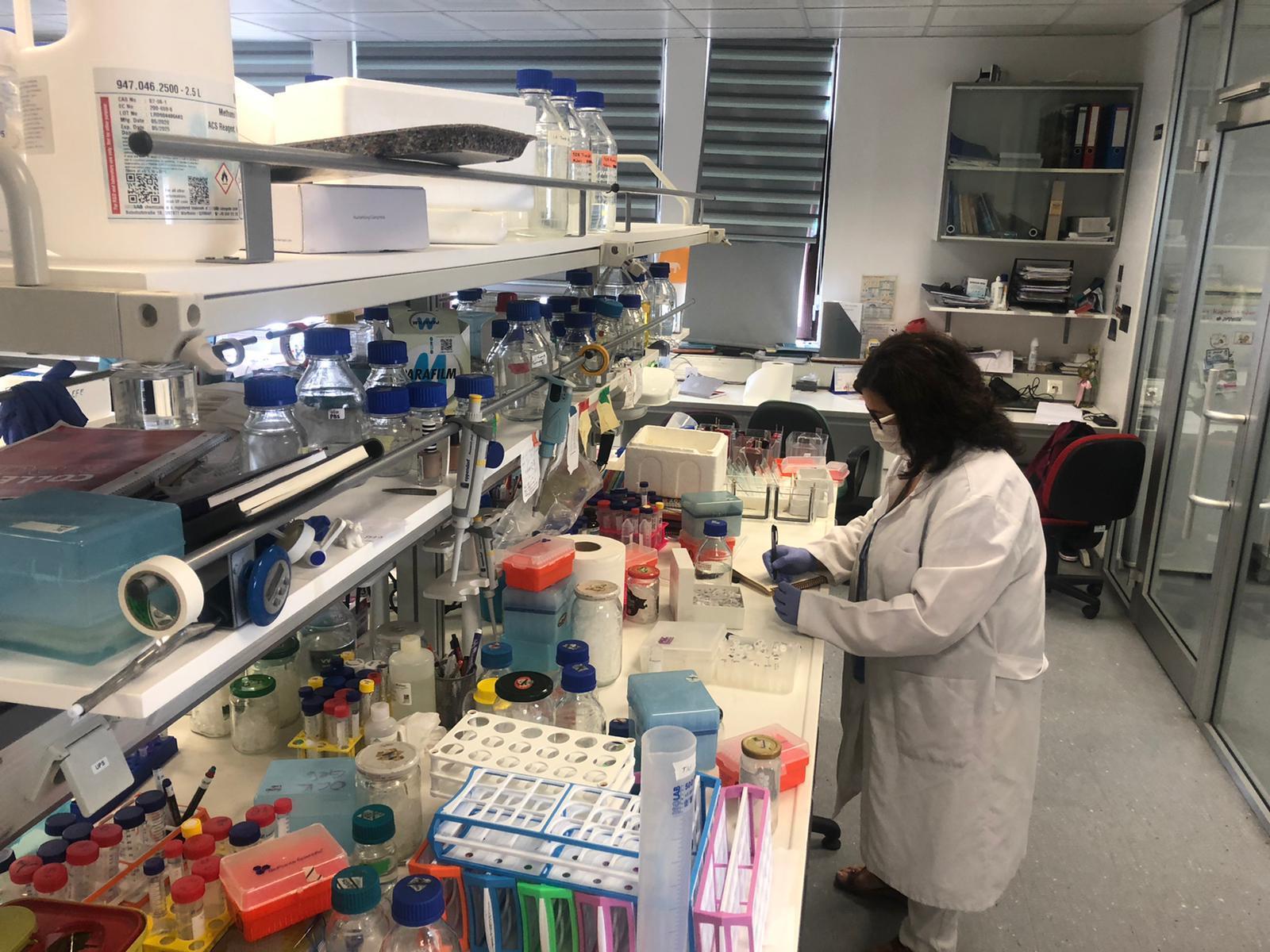 Asya Kaplan Sivrisineğine karşı biyolojik mücadele çalışmaları başladı