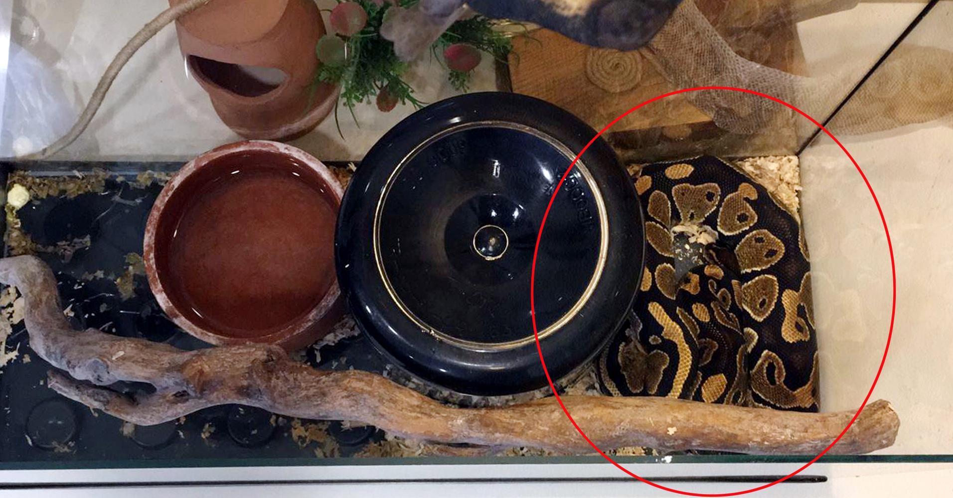 Bir ailenin yok olduğu siyanürlü intiharda, tefeci çetesi kayınvalideyi de borçlandırmış