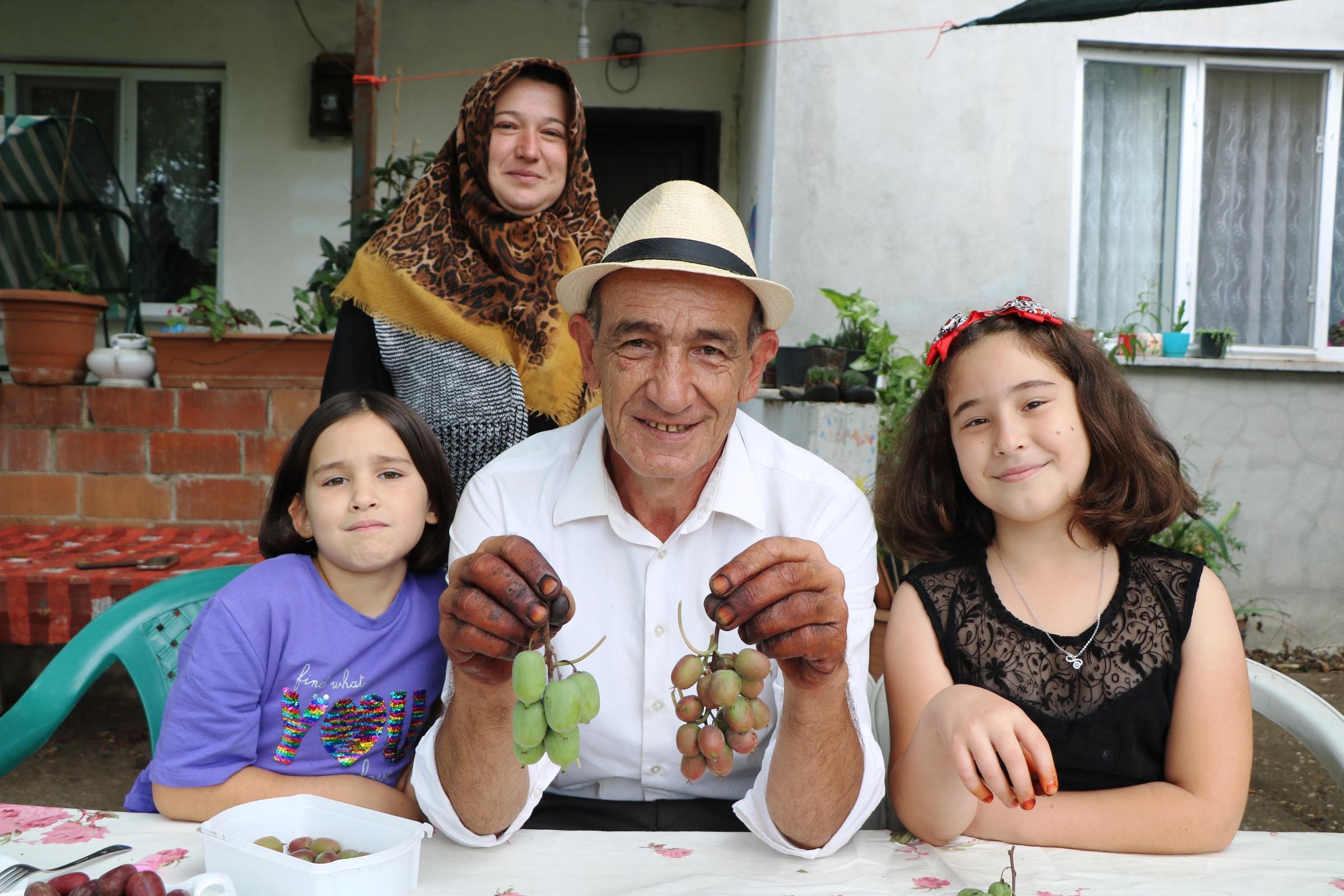 Mini kivi üretti, kilosu 50 liradan satılıyor