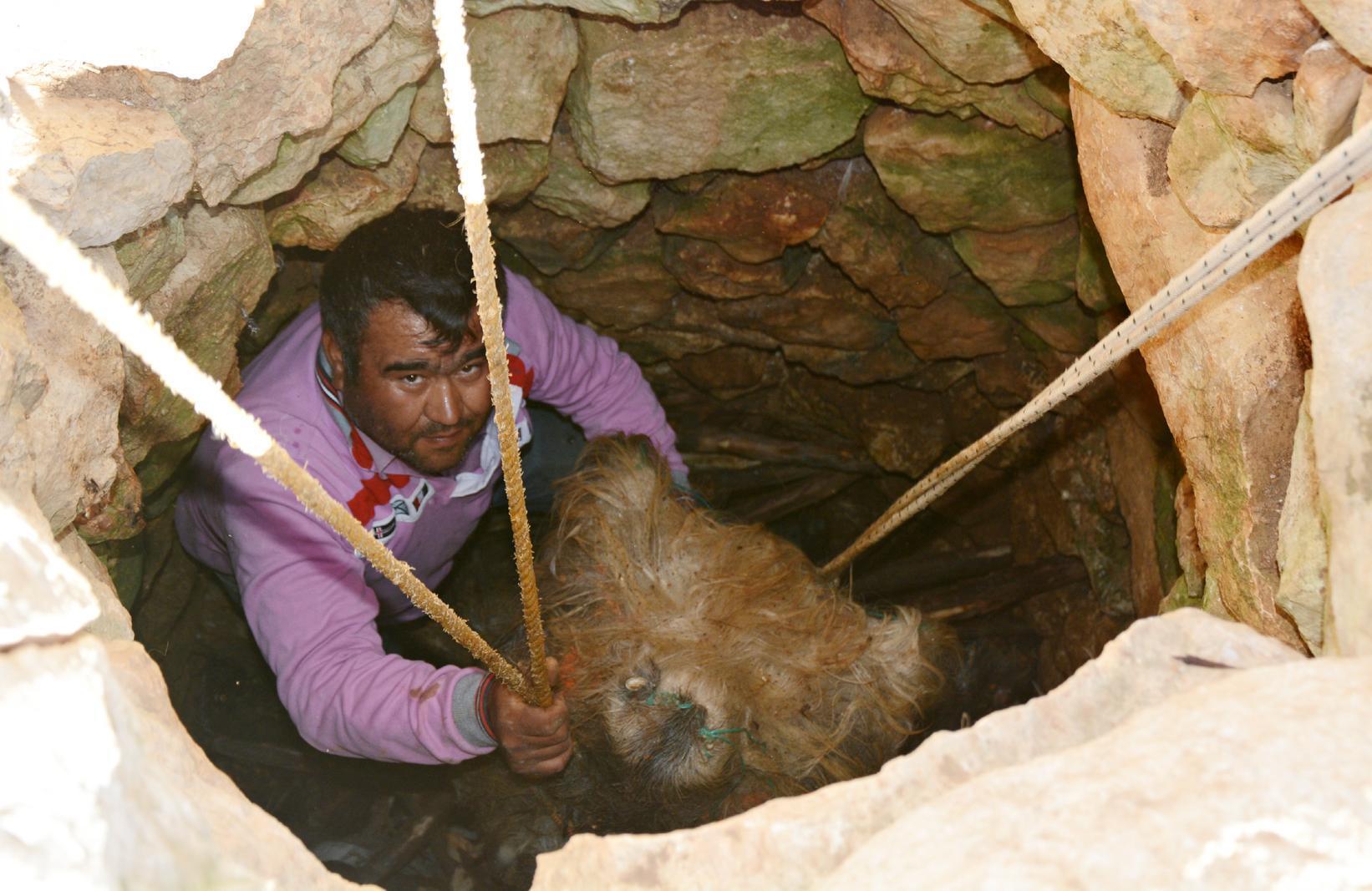 Kuyudan çıkarılan Söğle peynirinin kilosu 100 lira