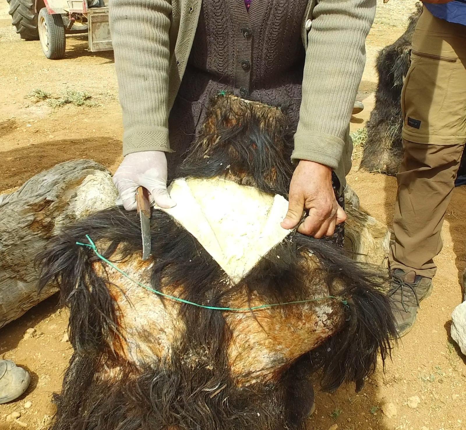 Kuyudan çıkarılan Söğle peynirinin kilosu 100 lira