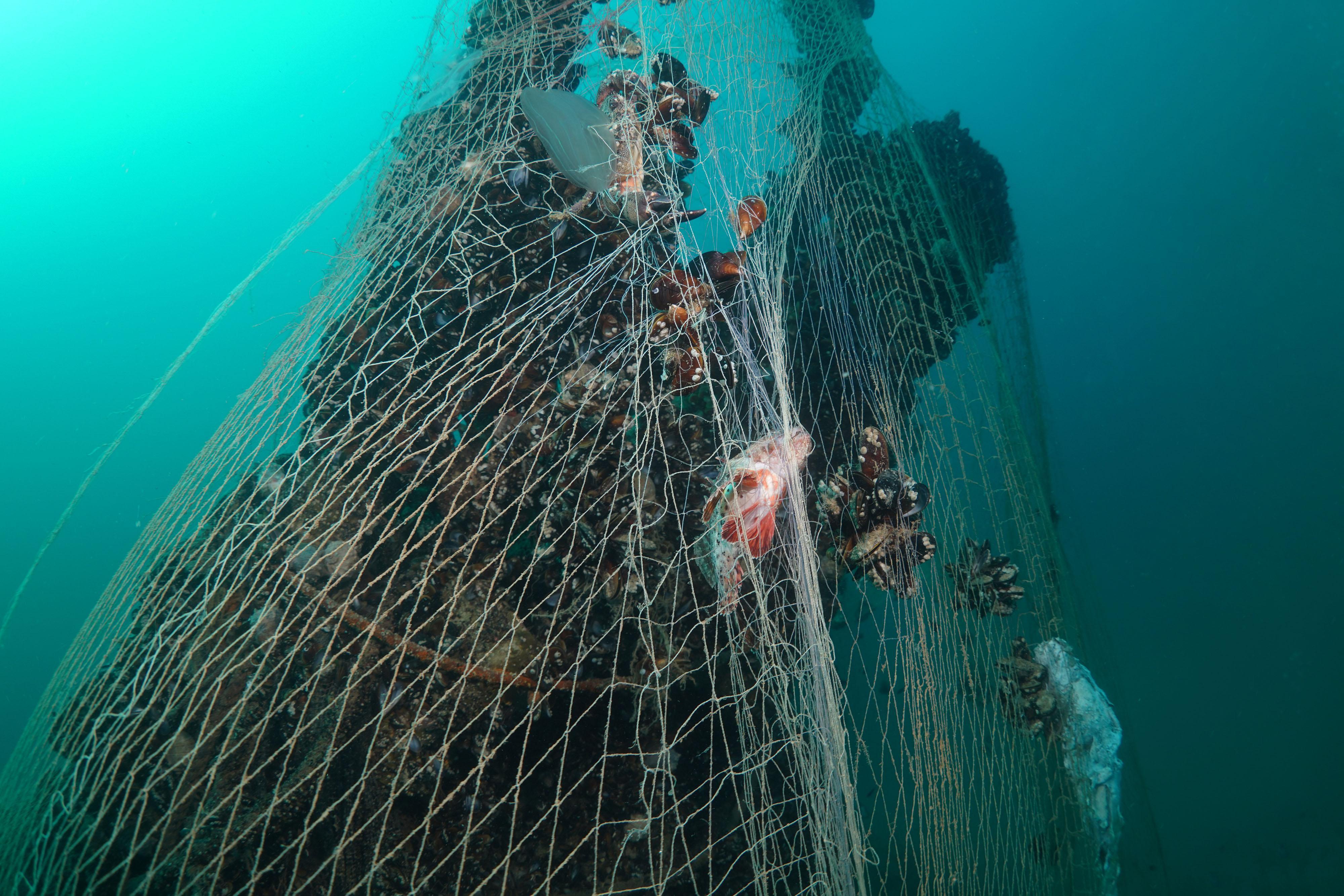 Hitlerin kayıp denizaltısı, hayalet ağlara teslim