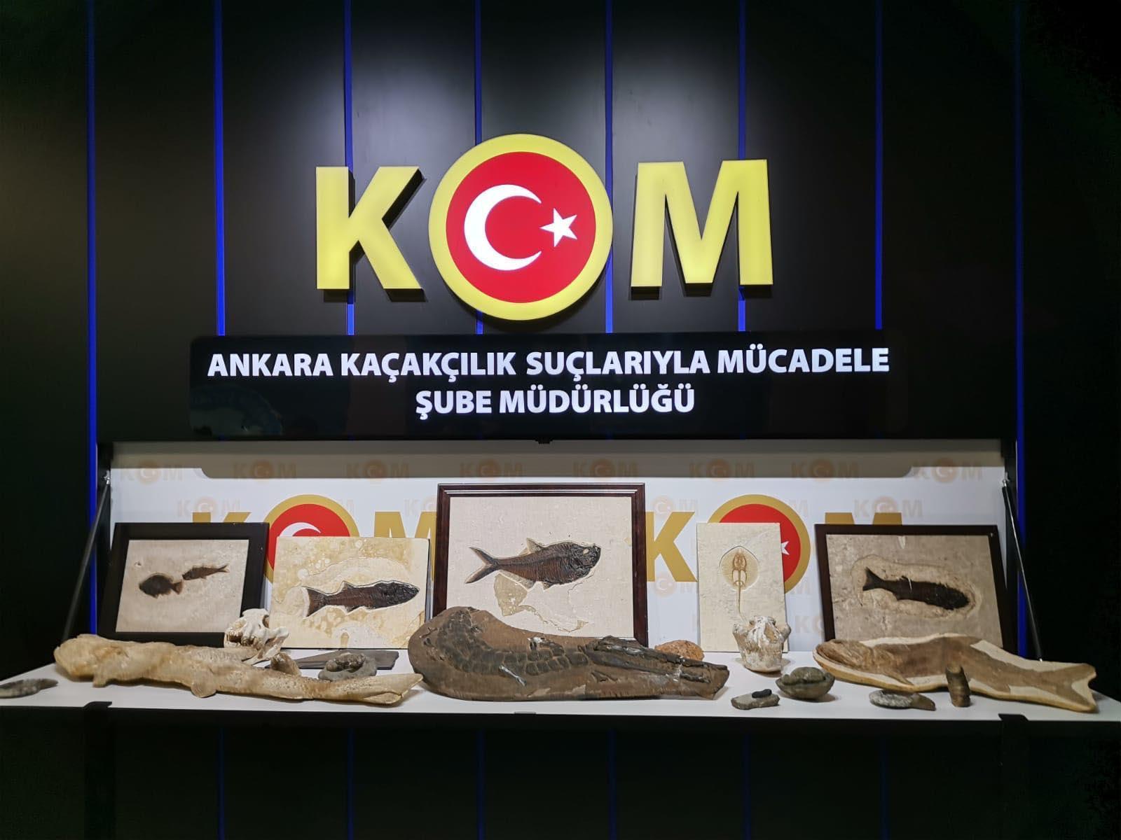 Ankarada Adnan Oktara kaçak fosil operasyonu
