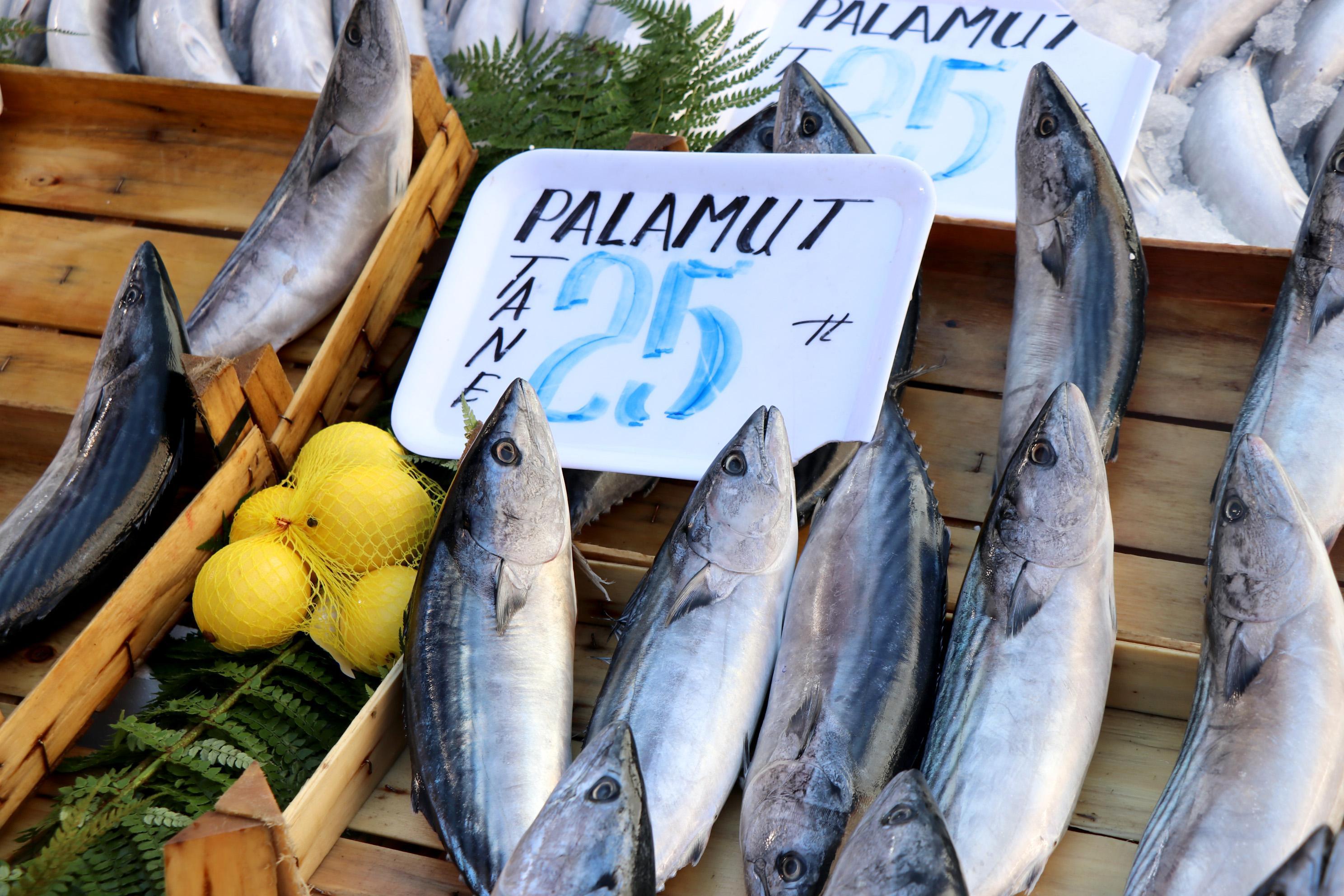 Edirneye gelen Bulgarlar, kasalarla palamut alıyor