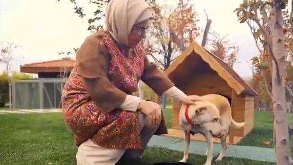 Emine Erdoğanın sahiplendiği Leblebi, Külliye bahçesinde