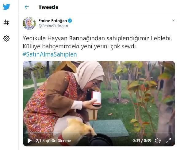 Emine Erdoğanın sahiplendiği Leblebi, Külliye bahçesinde
