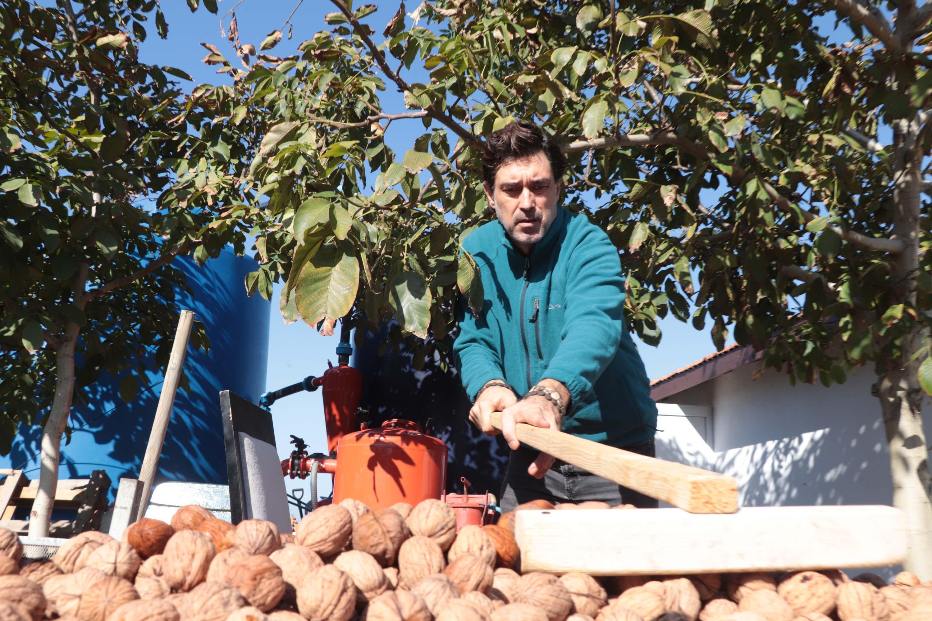 Huzuru köy yaşamında bulan oyuncu Burak Hakkı, cevizlerini hasat etti