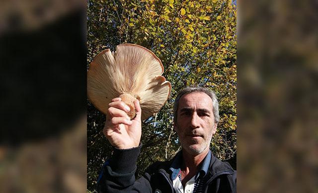 Yaylada 620 gramlık mantar buldu