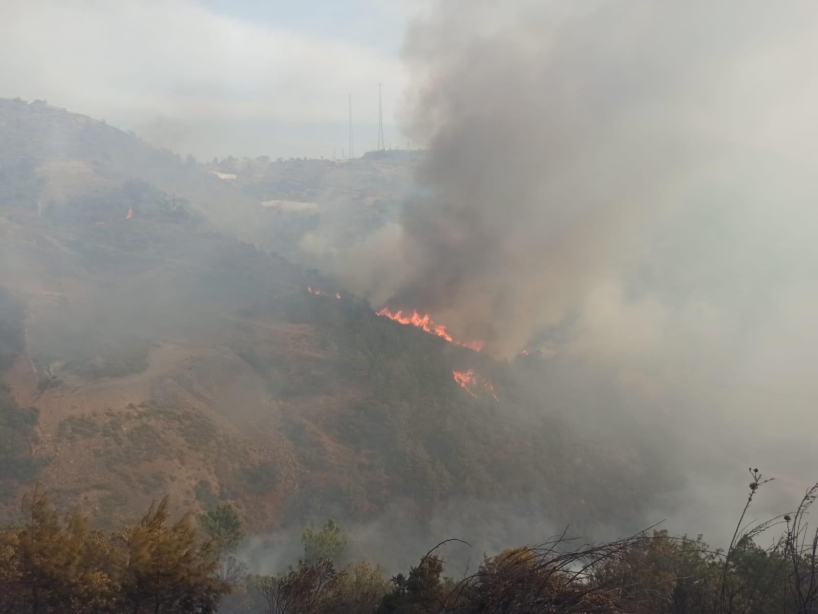 Anamurda yerleşim yeri yakınında orman yangını