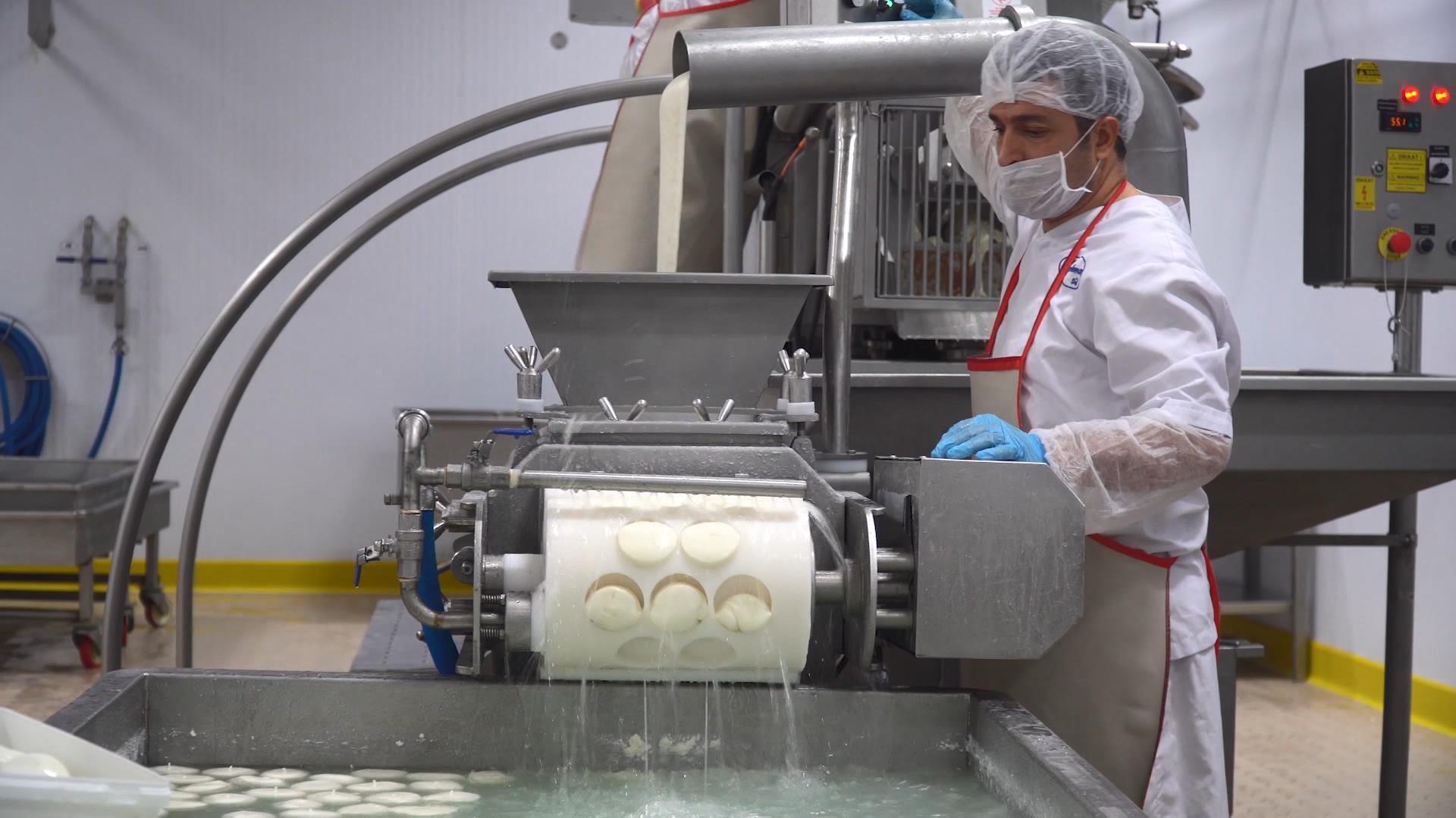 Elindeki sütü satamayınca fabrika açtı