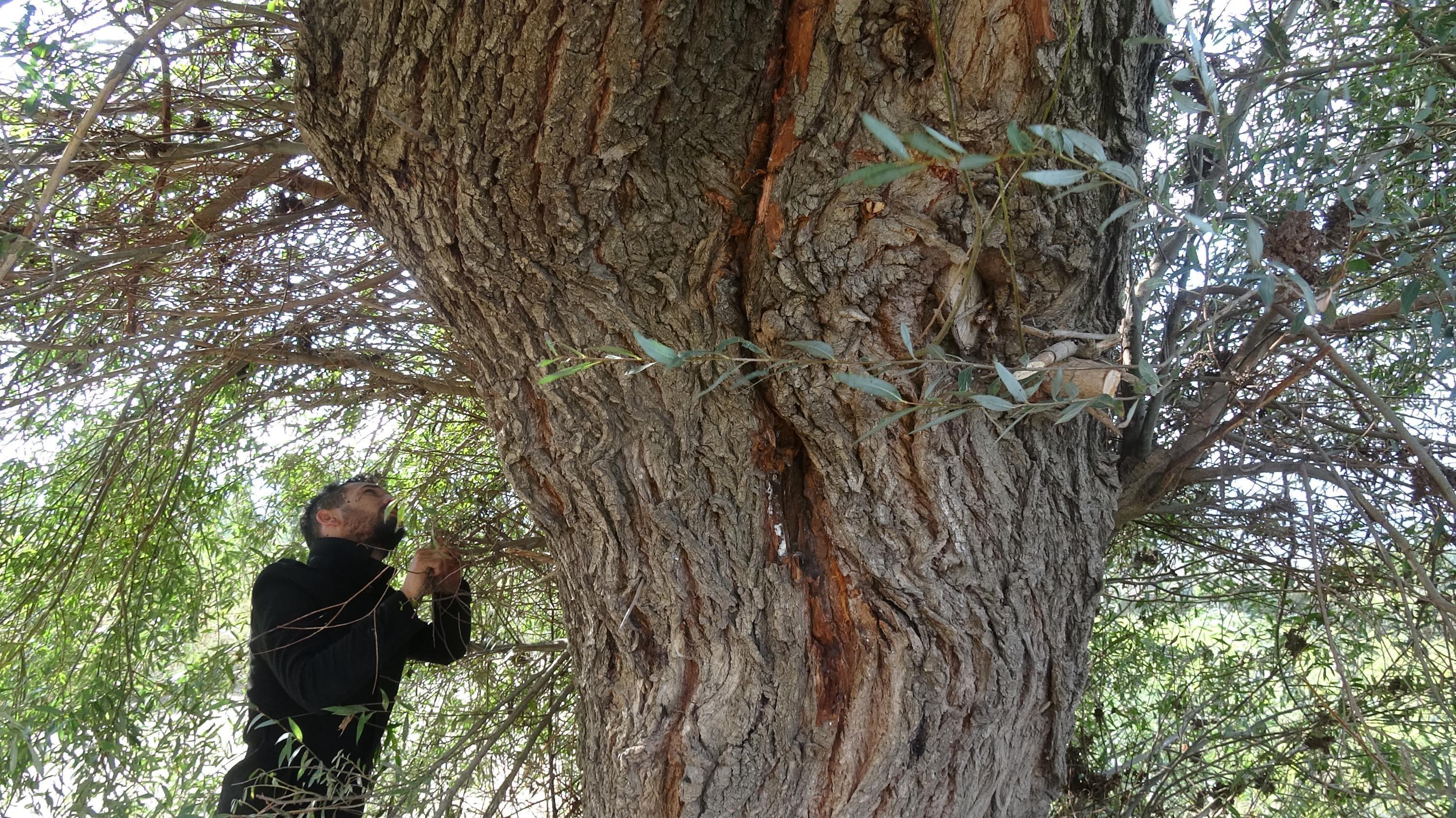 Yıldırım çarpan annesini kurtaran Gamze: Annemden yanık kokusu geliyordu