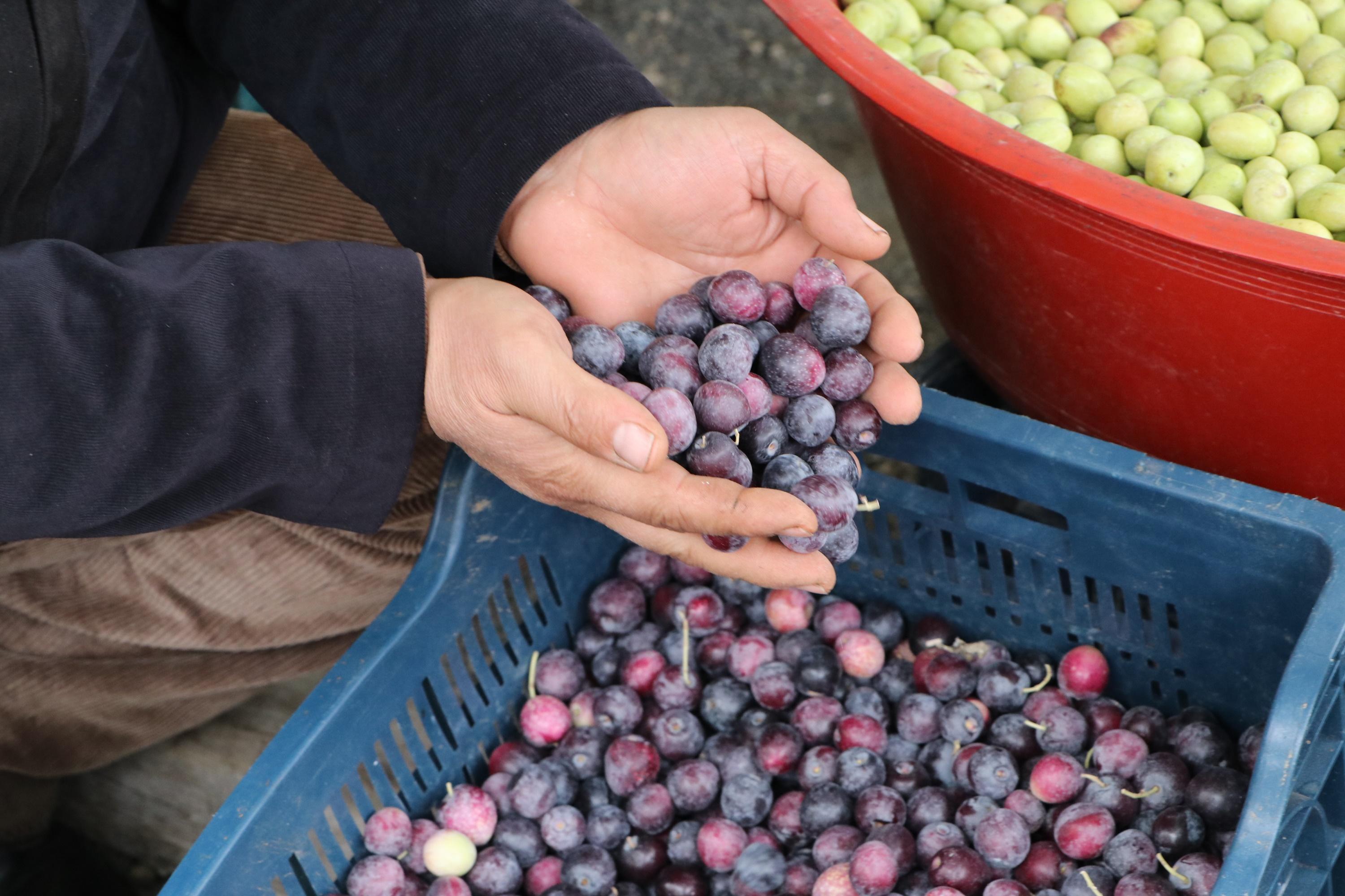 Şanlıurfada günde 5 ton yeşil zeytin satılıyor