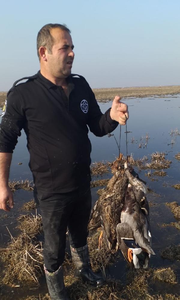 Kuş cennetinde kaçak ördek avlayan coğrafya öğretmeni yakalandı