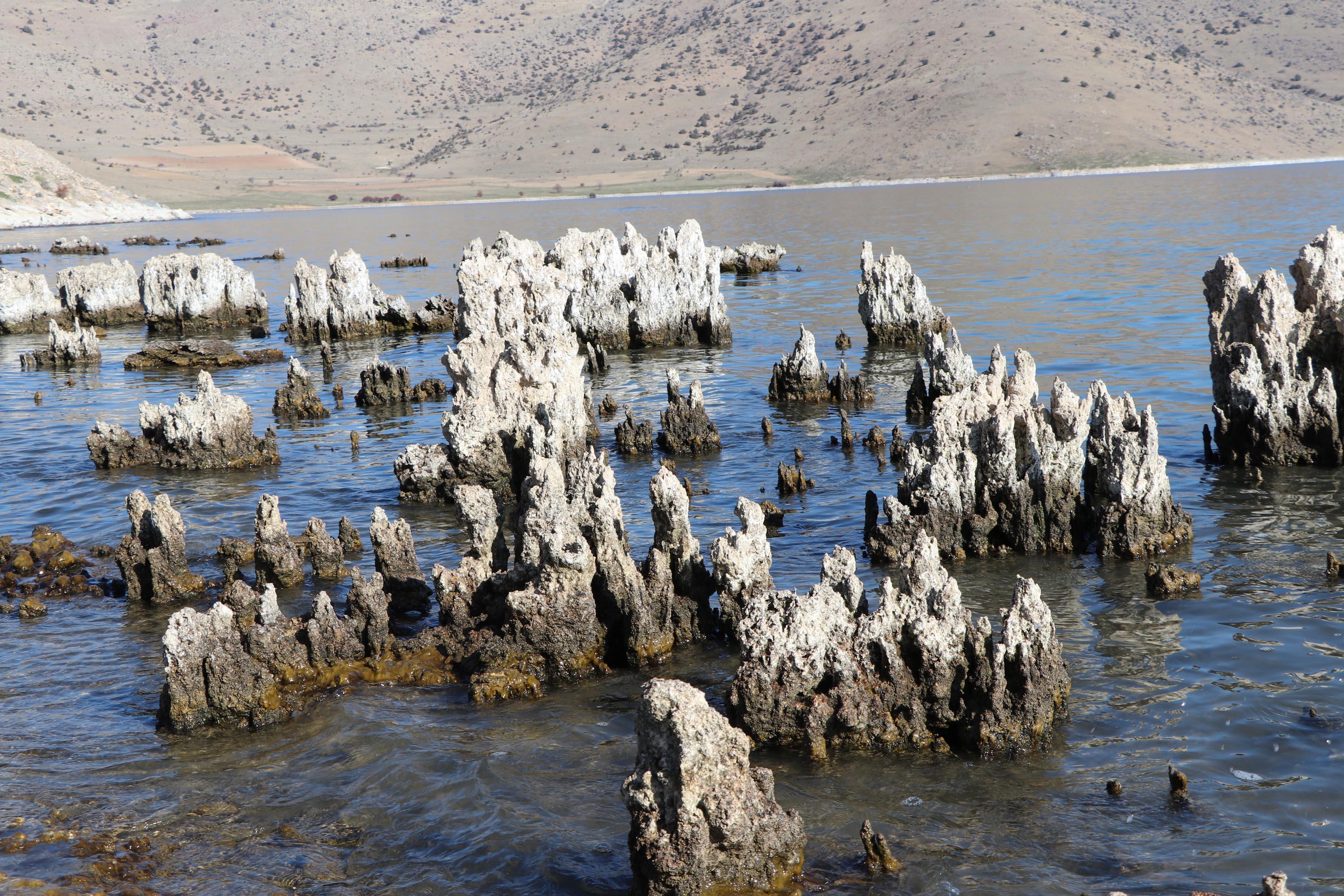 Van Gölü çekilince dünyanın en büyük mikrobiyalitleri gün yüzüne çıktı