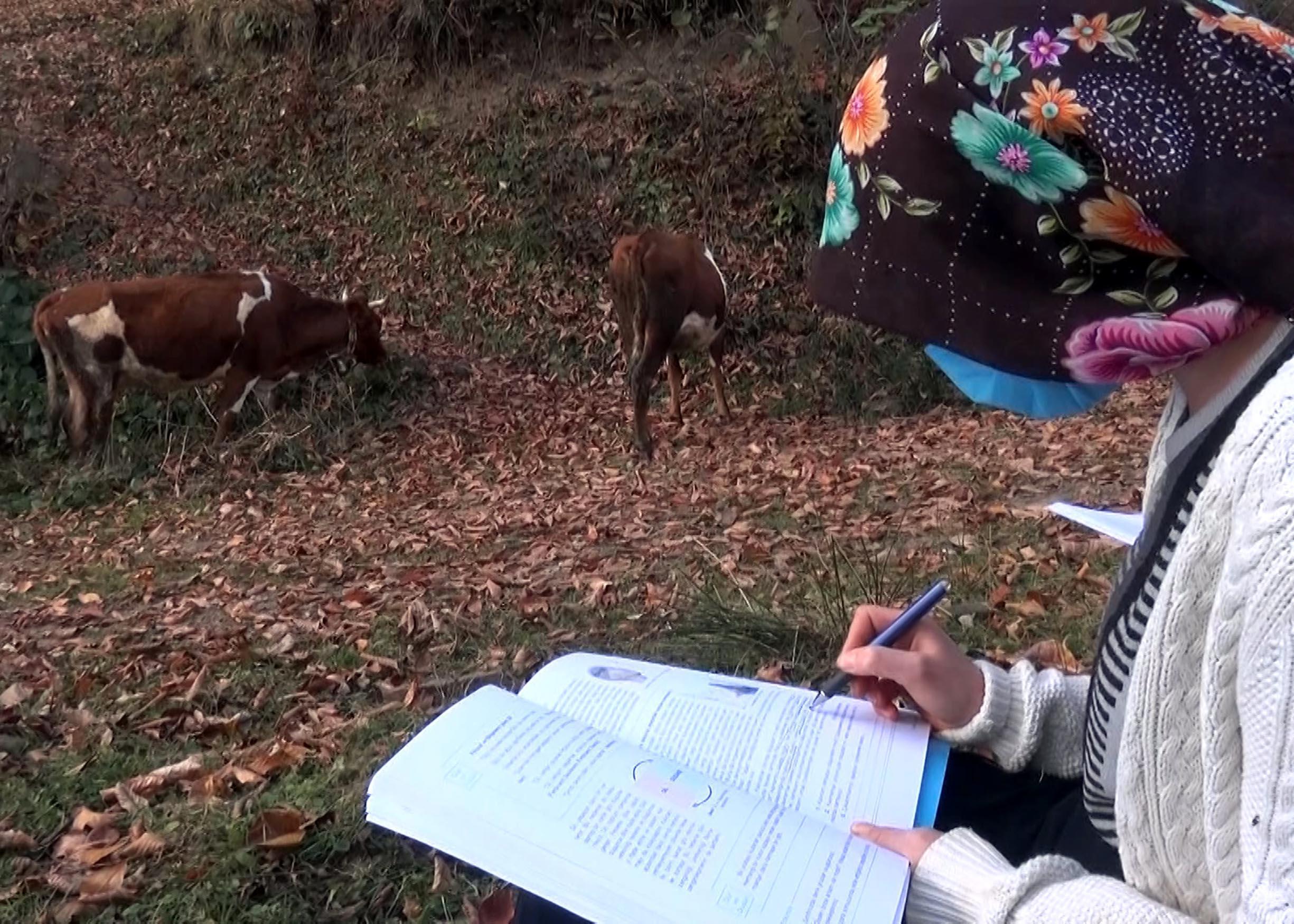 7 kardeşin uzaktan eğitim azmi