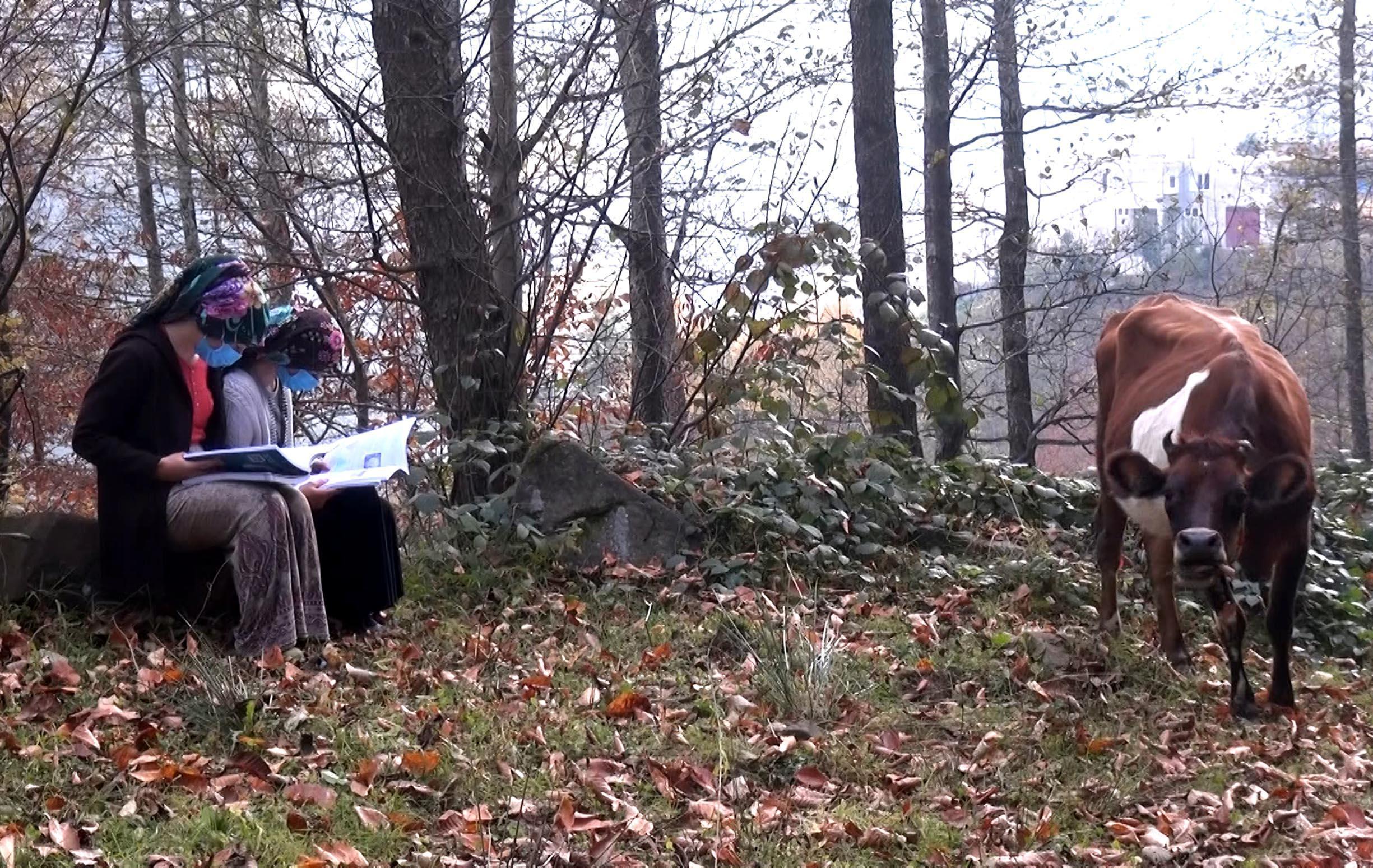 7 kardeşin uzaktan eğitim azmi