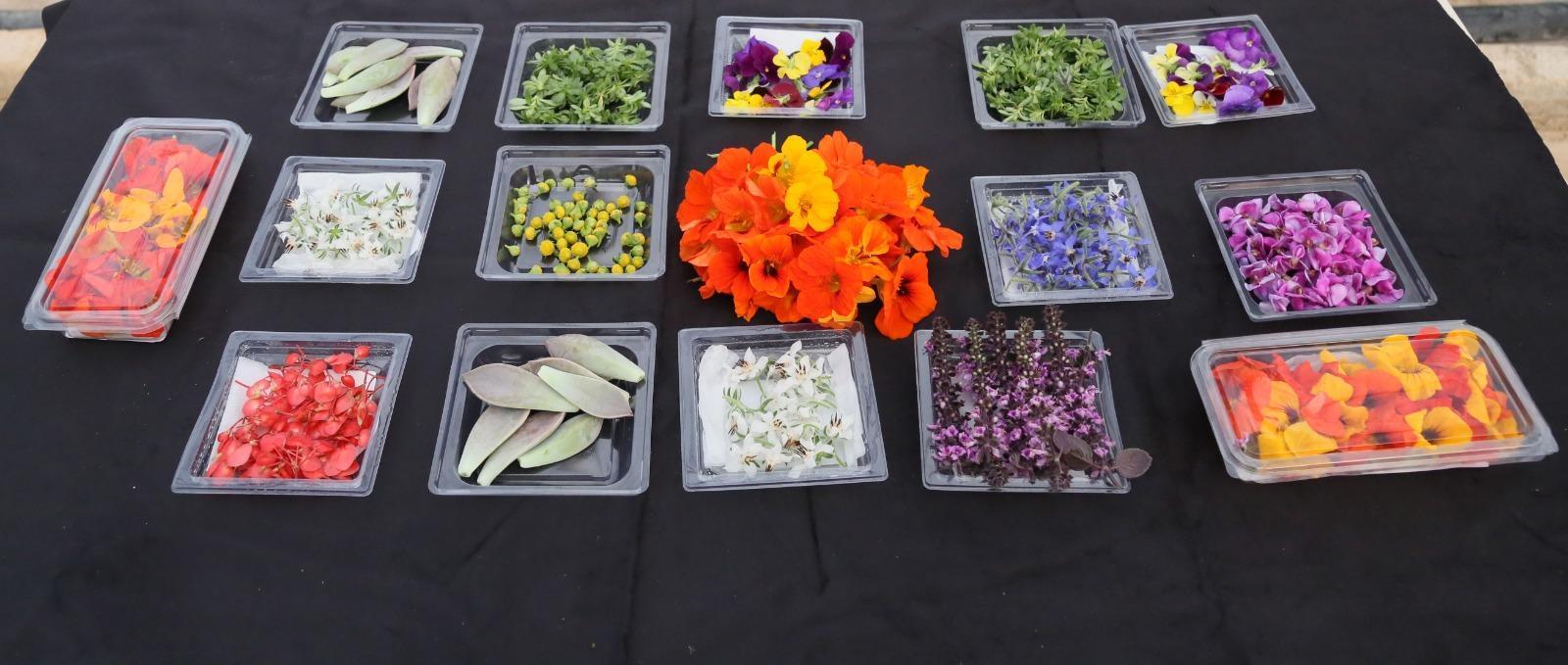 Yenilebilir çiçekler hem damağa hem göze hitap ediyor