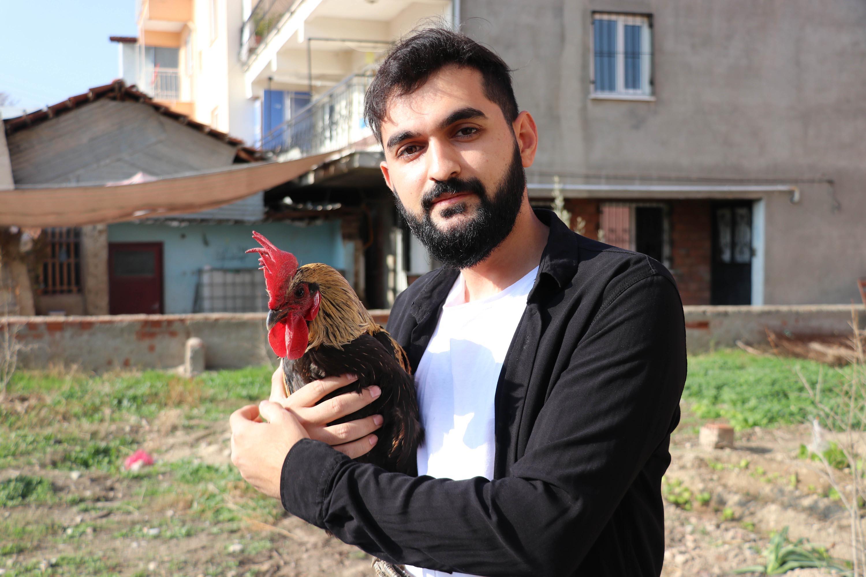 Öterken bayılan Denizli horozu için otomobil teklif edildi