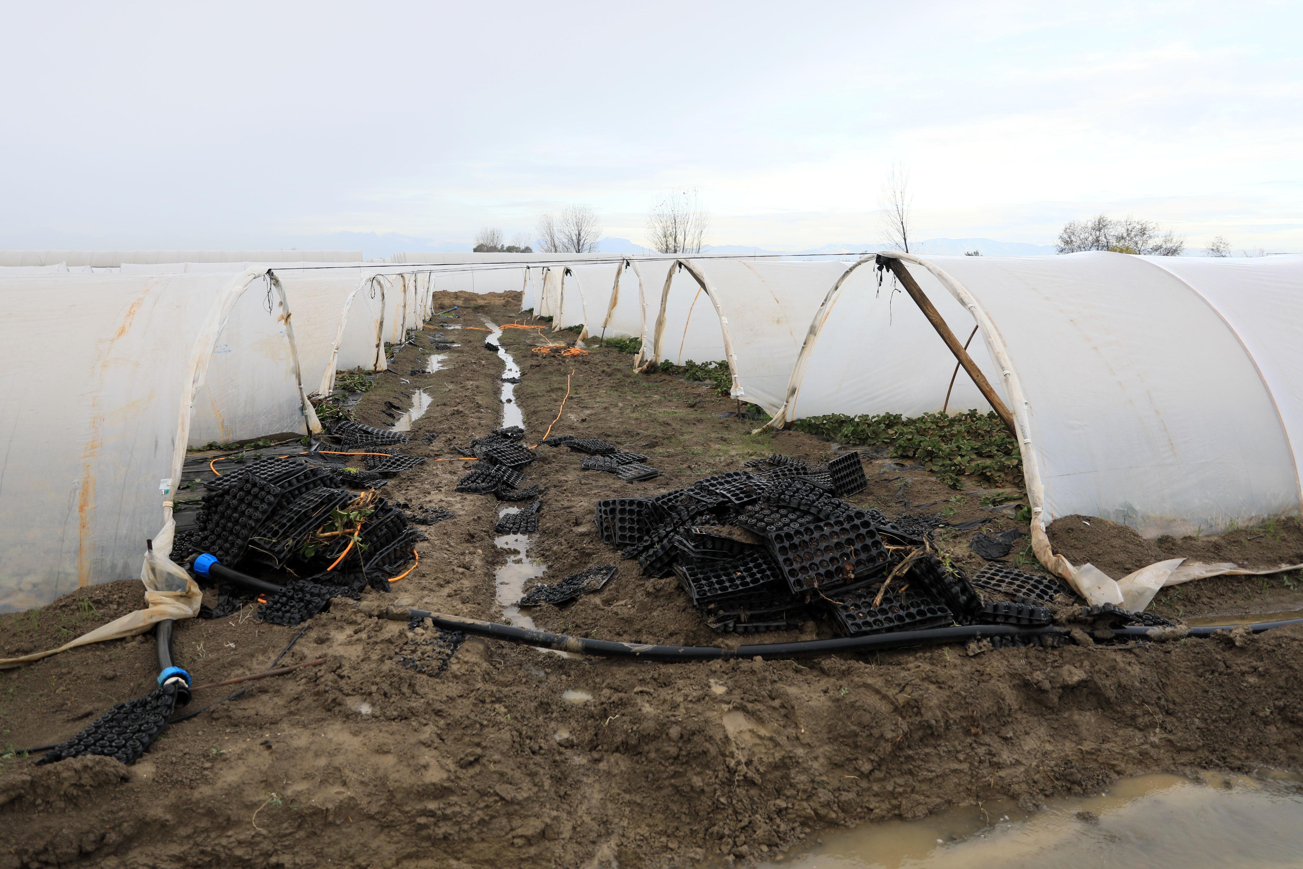 Antalyada selin zararı büyük