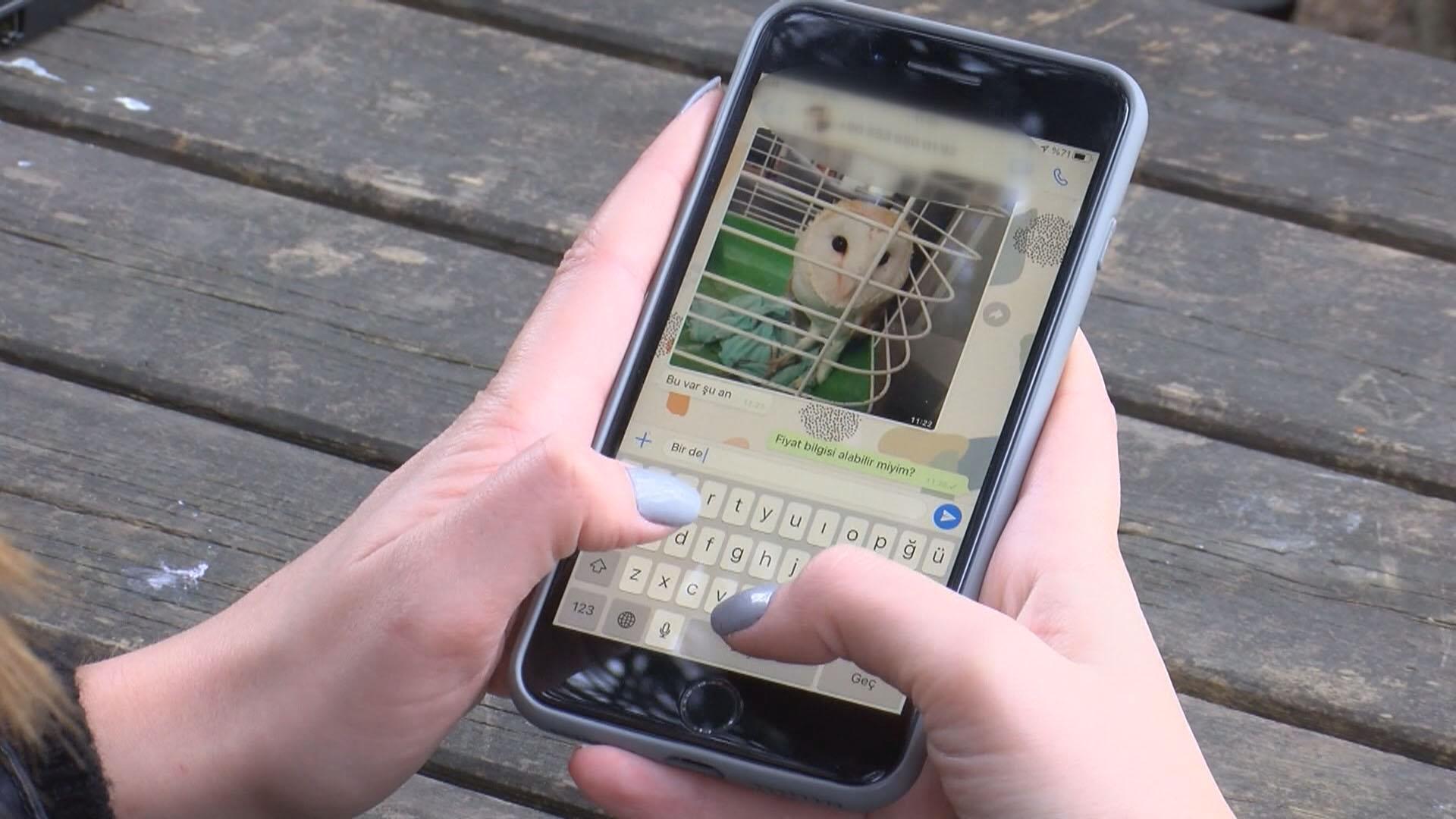 Yaban hayvanlarını internette satıp Türkiyenin her yerine yolluyorlar