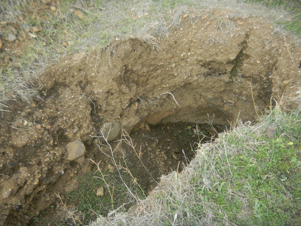 250 yıllık manastır şapeli defineci kazıları nedeniyle yıkıldı