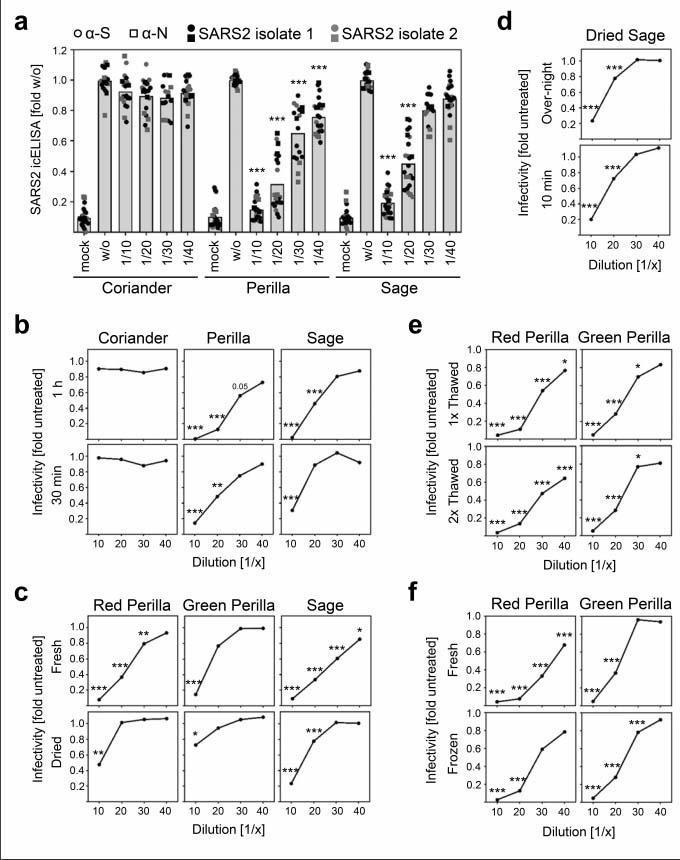 Ada çayının Covid-19a karşı etkinliği Almanyada kanıtlandı