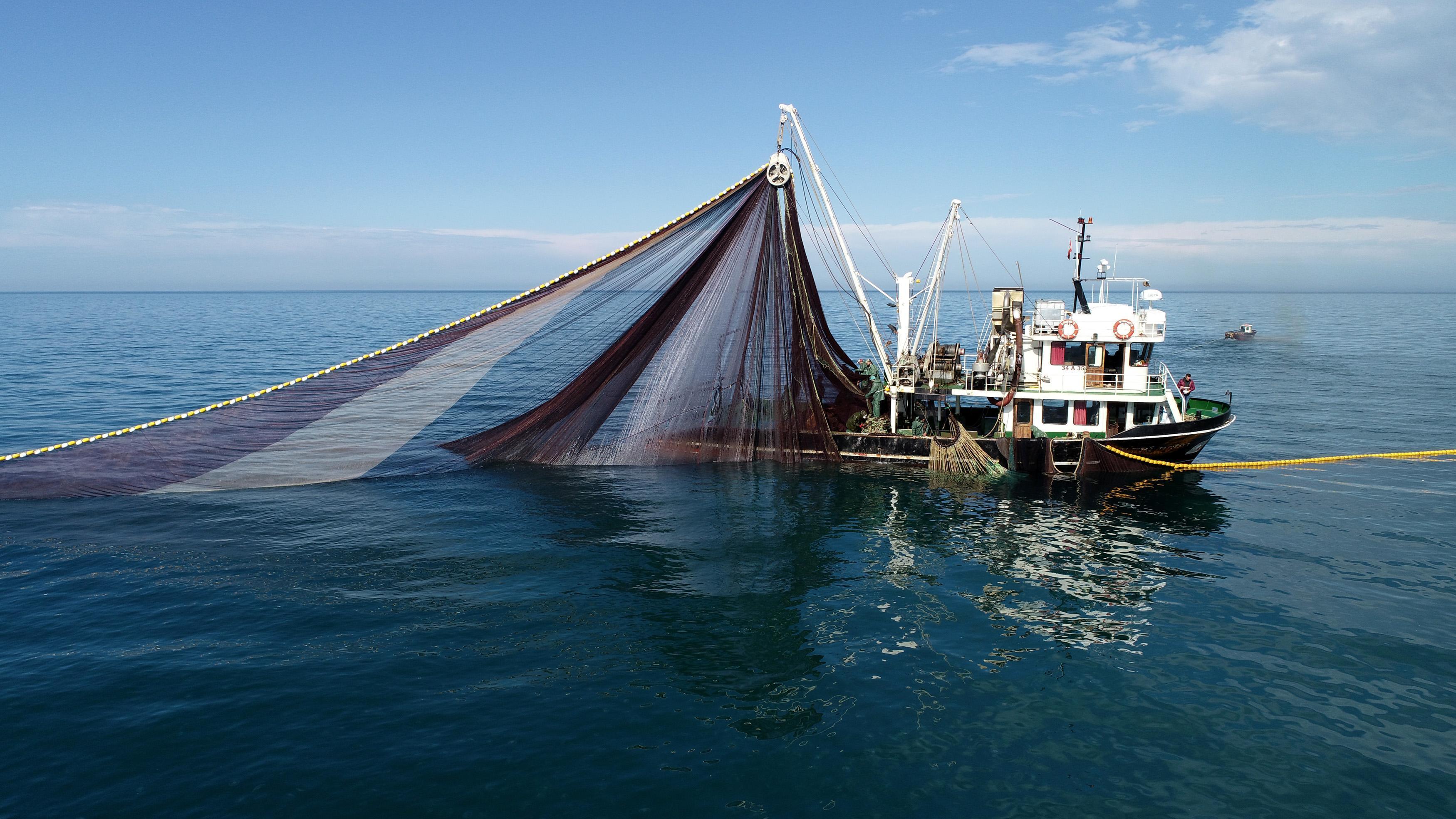 Karadenizde bir ilk Balıklar tersine göçe başladı