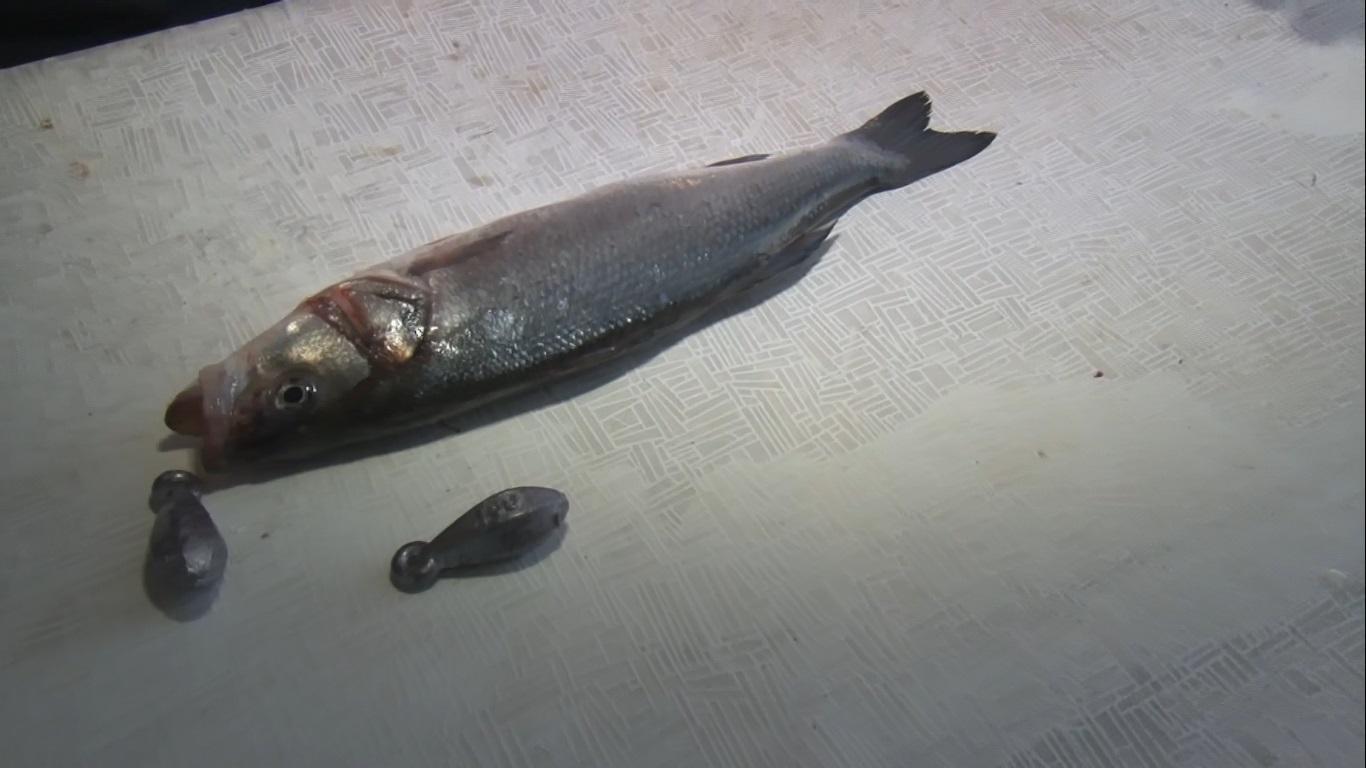 Balıkta boya ve ağırlık hilesi